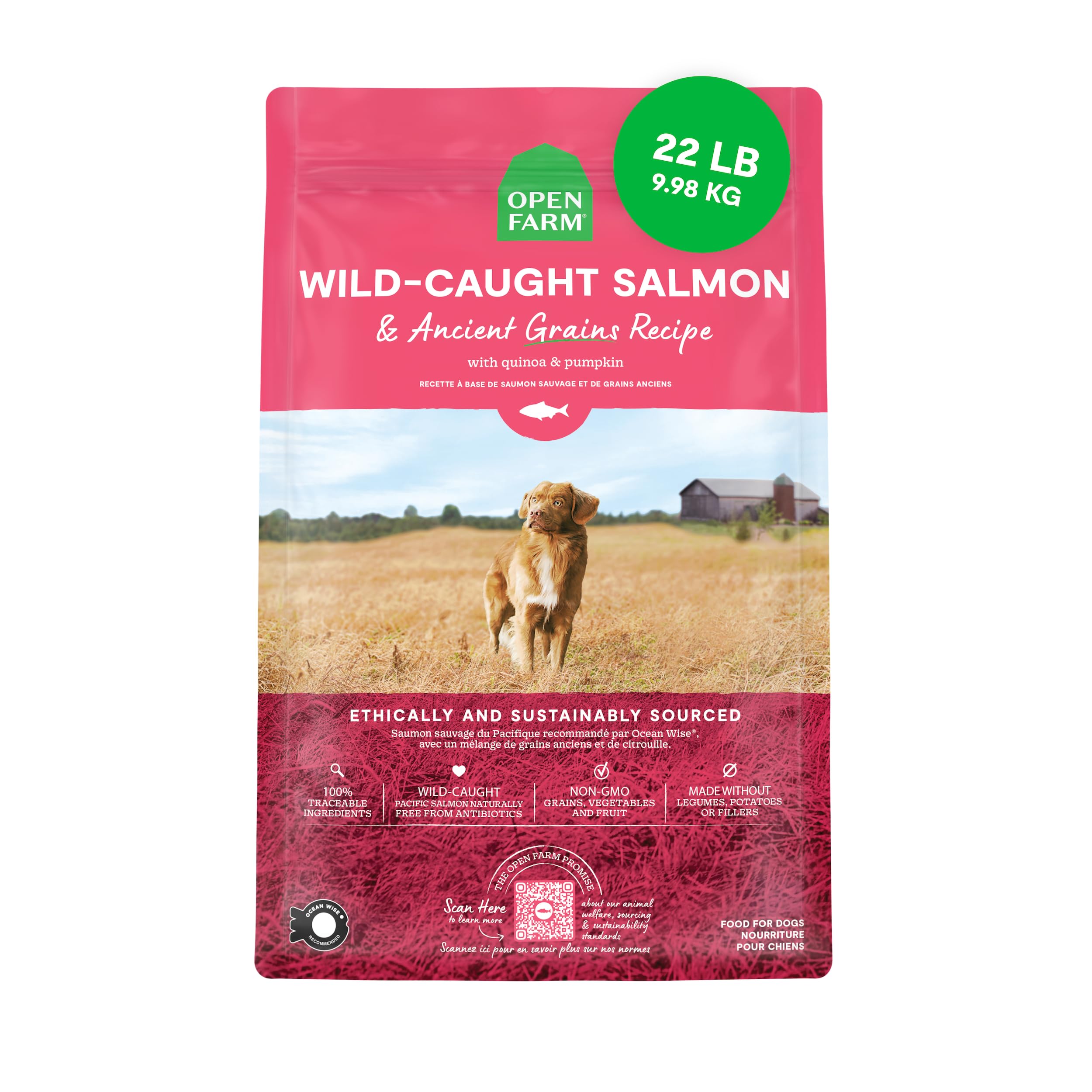 Open Farm, Ancient Grains Dry Dog Food, Protein-Rich & Nutrient Dense, 90% Animal Protein Mixed with Non-GMO Fruits, Veggies and Superfoods, Wild Caught Salmon Recipe, 22lb Bag