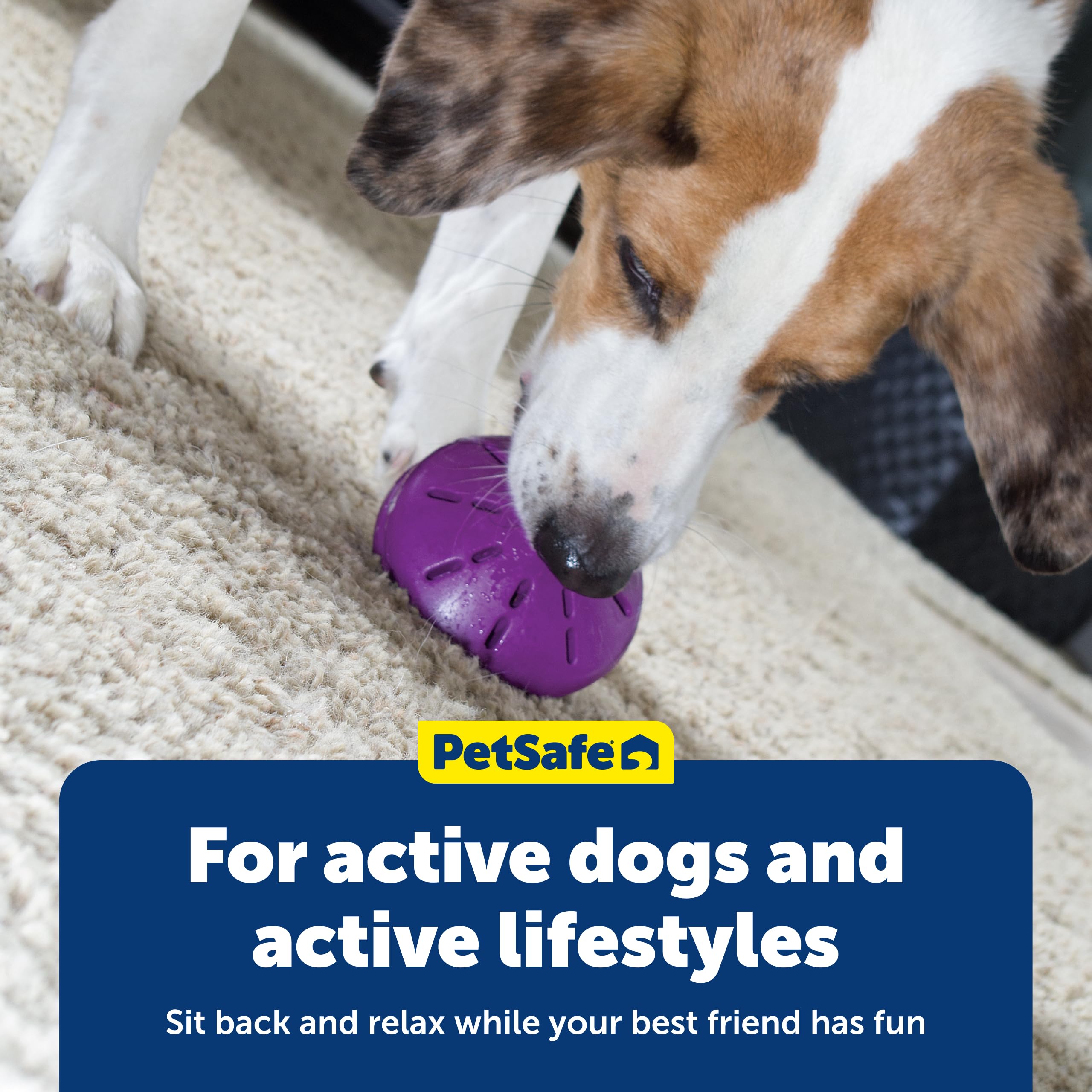 PetSafe Busy Buddy Twist 'n Treat Dispensing Dog Toy - Small
