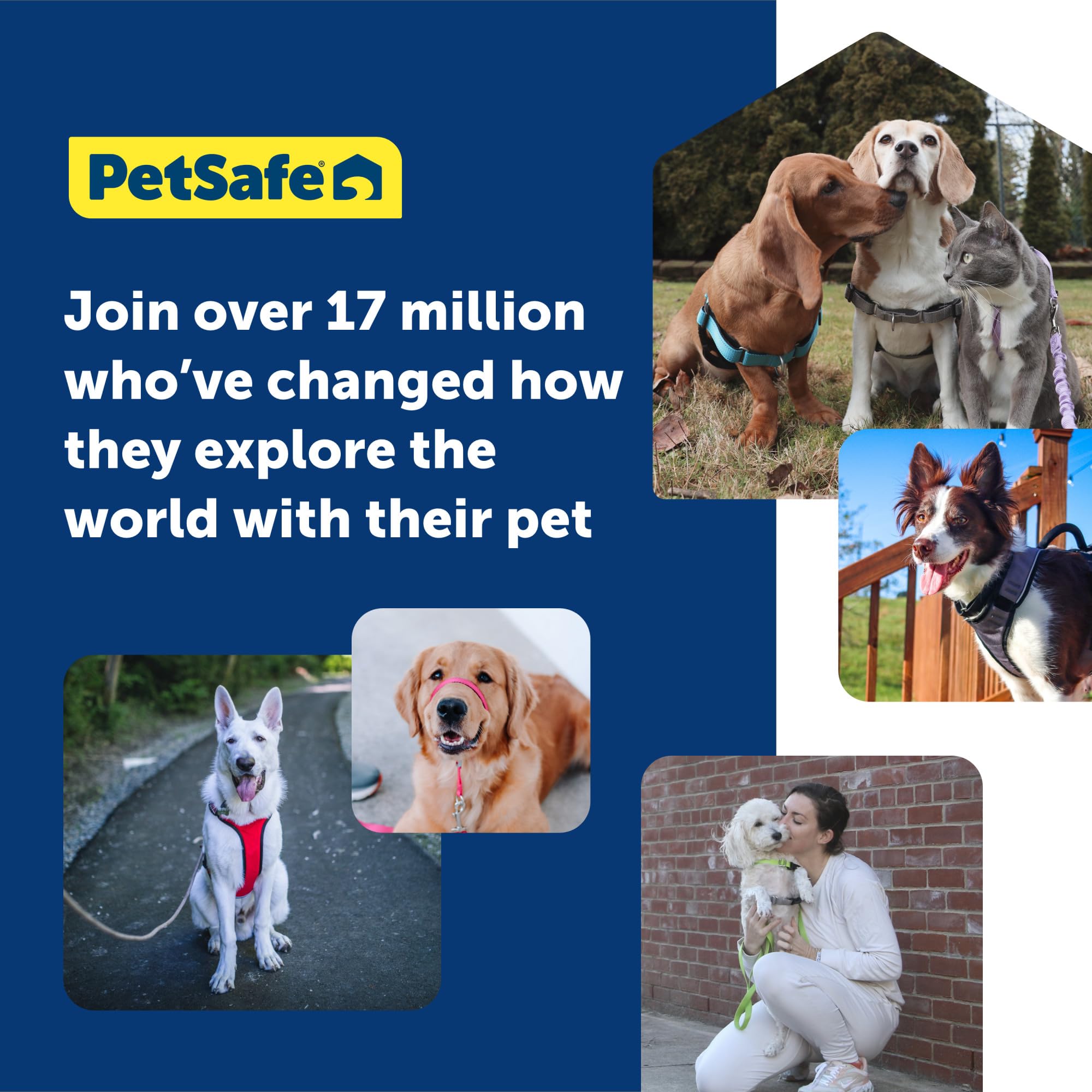 PetSafe Gentle Leader Headcollar - No Pull Dog Collar for Better Leash Manners - Comfortable Head Harness - Adjustable Nose Loop - Lightweight Walking Collar - Fawn - Petite