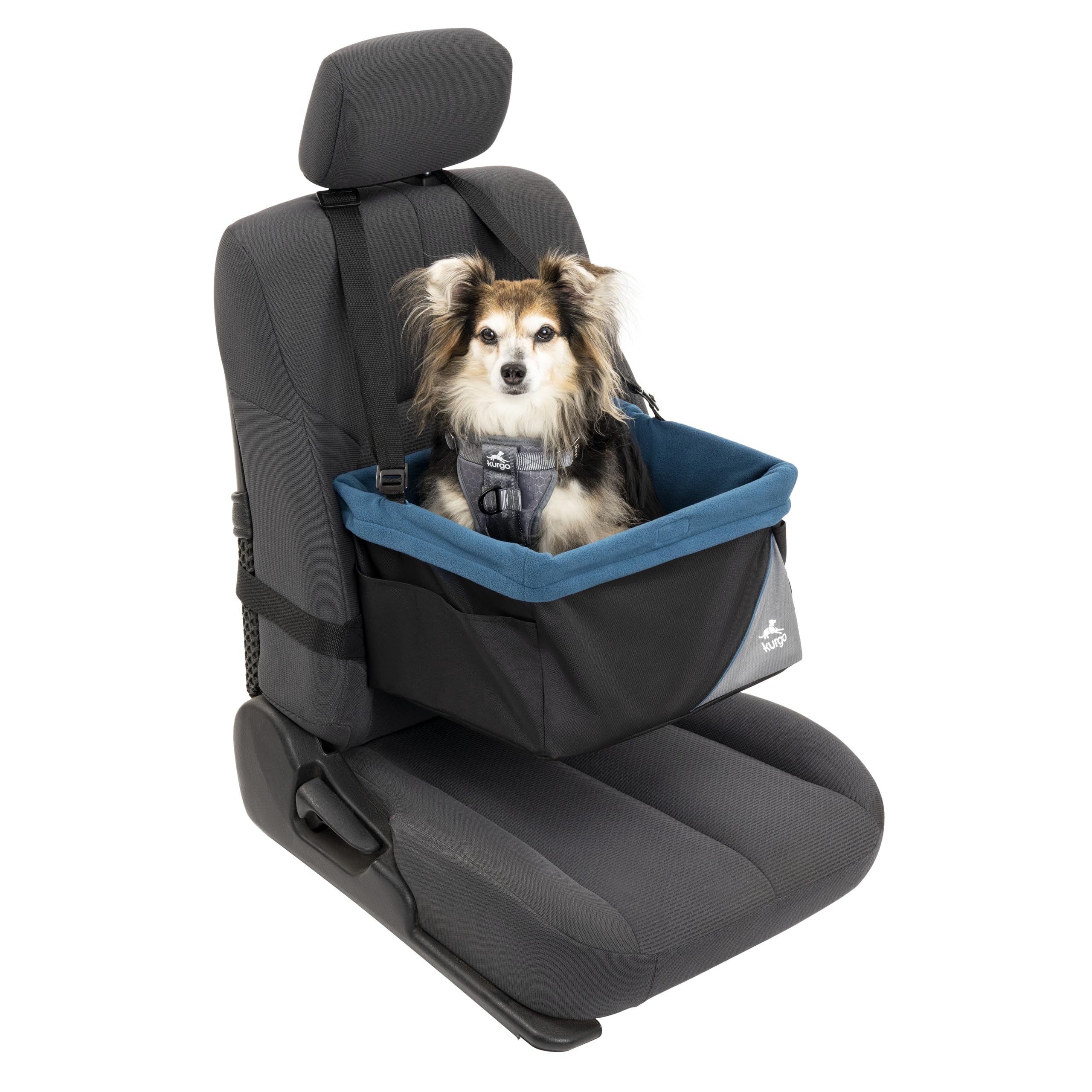 Kurgo Dog Booster Seat - Keeps Dogs Secure & Comfortable - Waterproof Exterior - Removable Washable Liner - Dog Car Seat with Harness Strap - Collapsible - Rover Style - Black/Blue