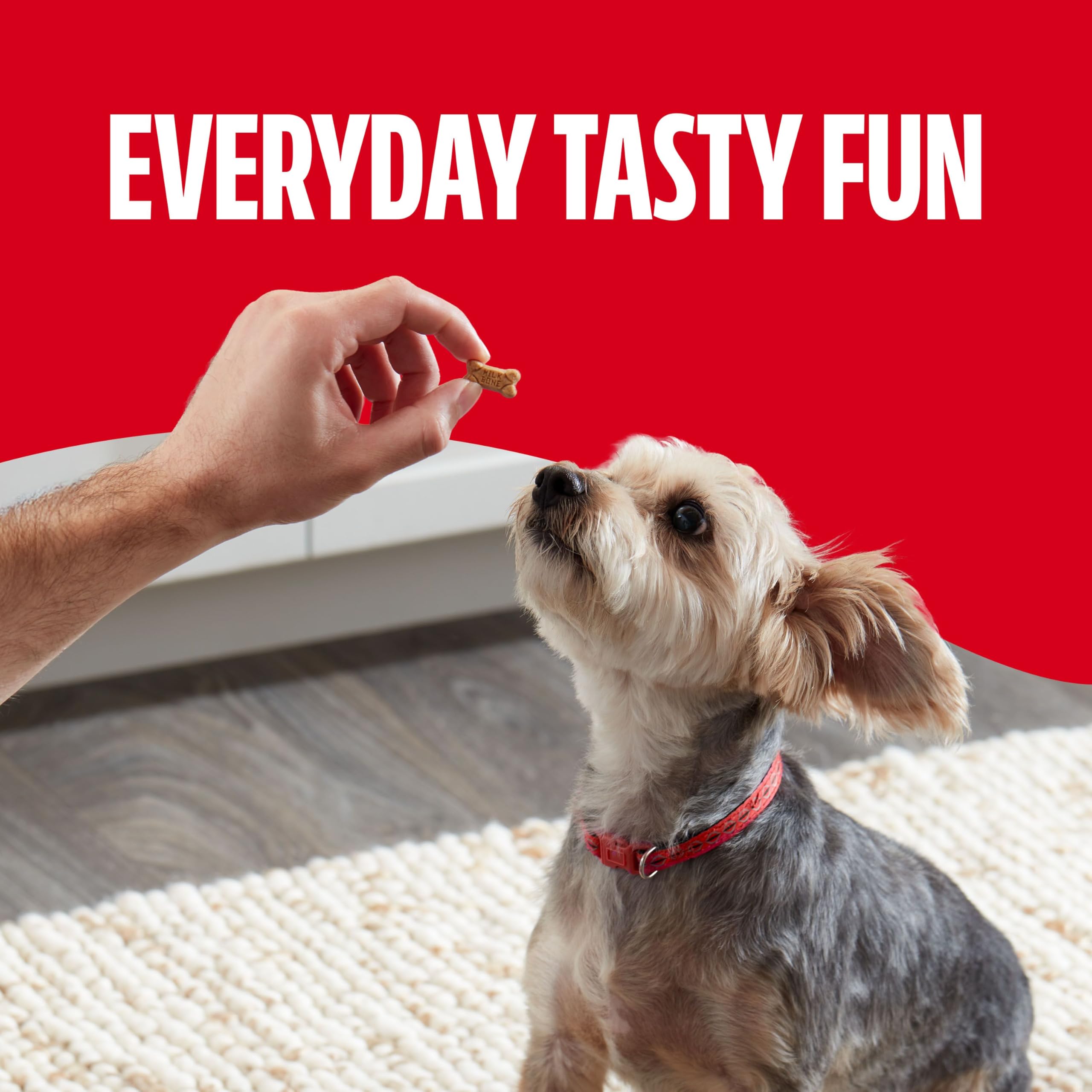Milk-Bone Soft & Chewy Mini’s Dog Treats, Made with Real Chicken, 18 Ounce Canister