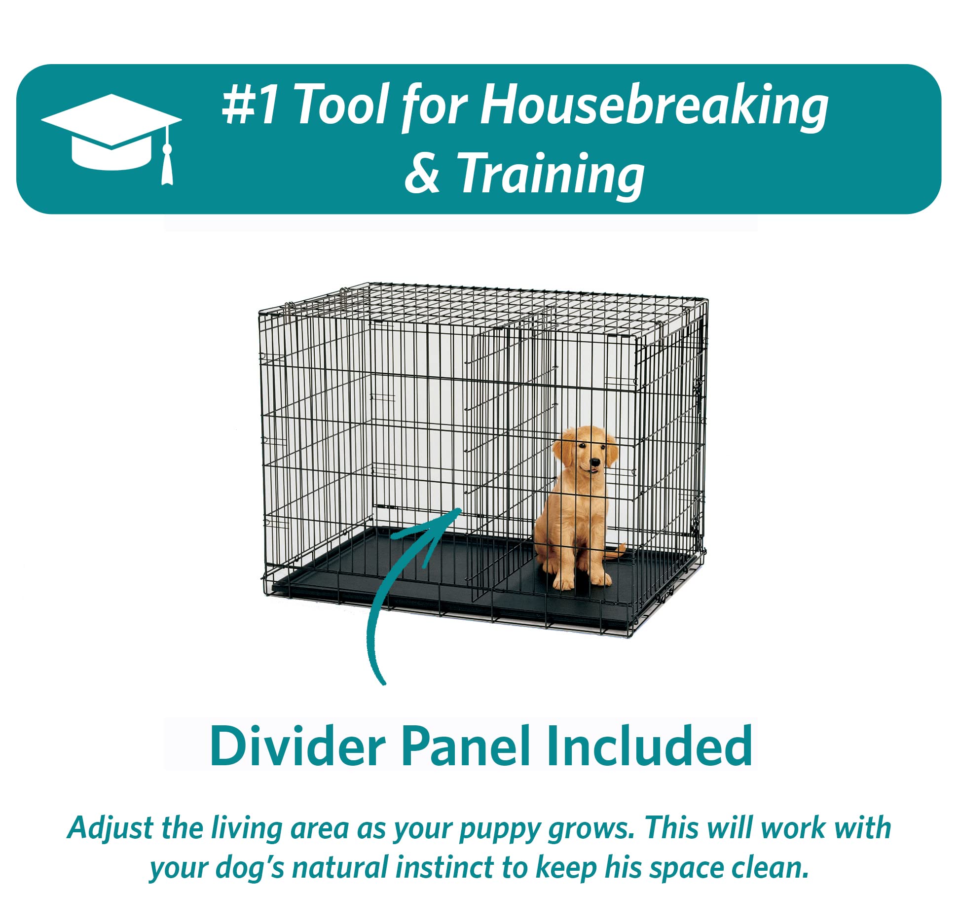 MidWest Homes for Pets 24-Inch iCrate for Small Breeds, 12-20 lbs, Single Door Folding Dog Crate with Divider Panel, Leak-Proof Tray & Secure Latch, Portable, Durable & Easy to Assemble