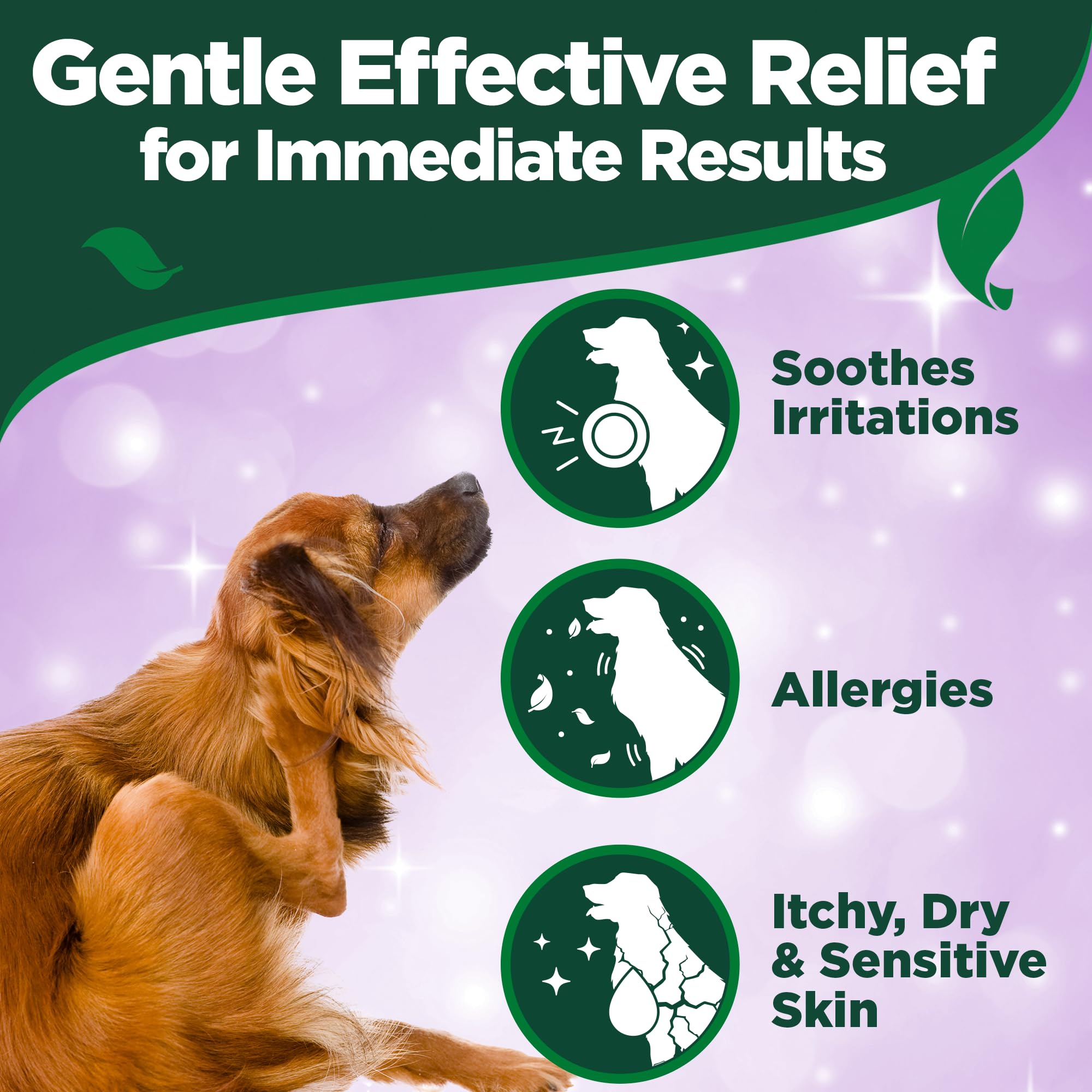 Vet's Best Vet’s Best Dog Hot Spot Itch Relief Spray | Relieves Dog Dry Skin, Rash, Scratching, Licking, Itchy Skin, and Hot Spots | No-Sting and Alcohol Free | 8 Ounces