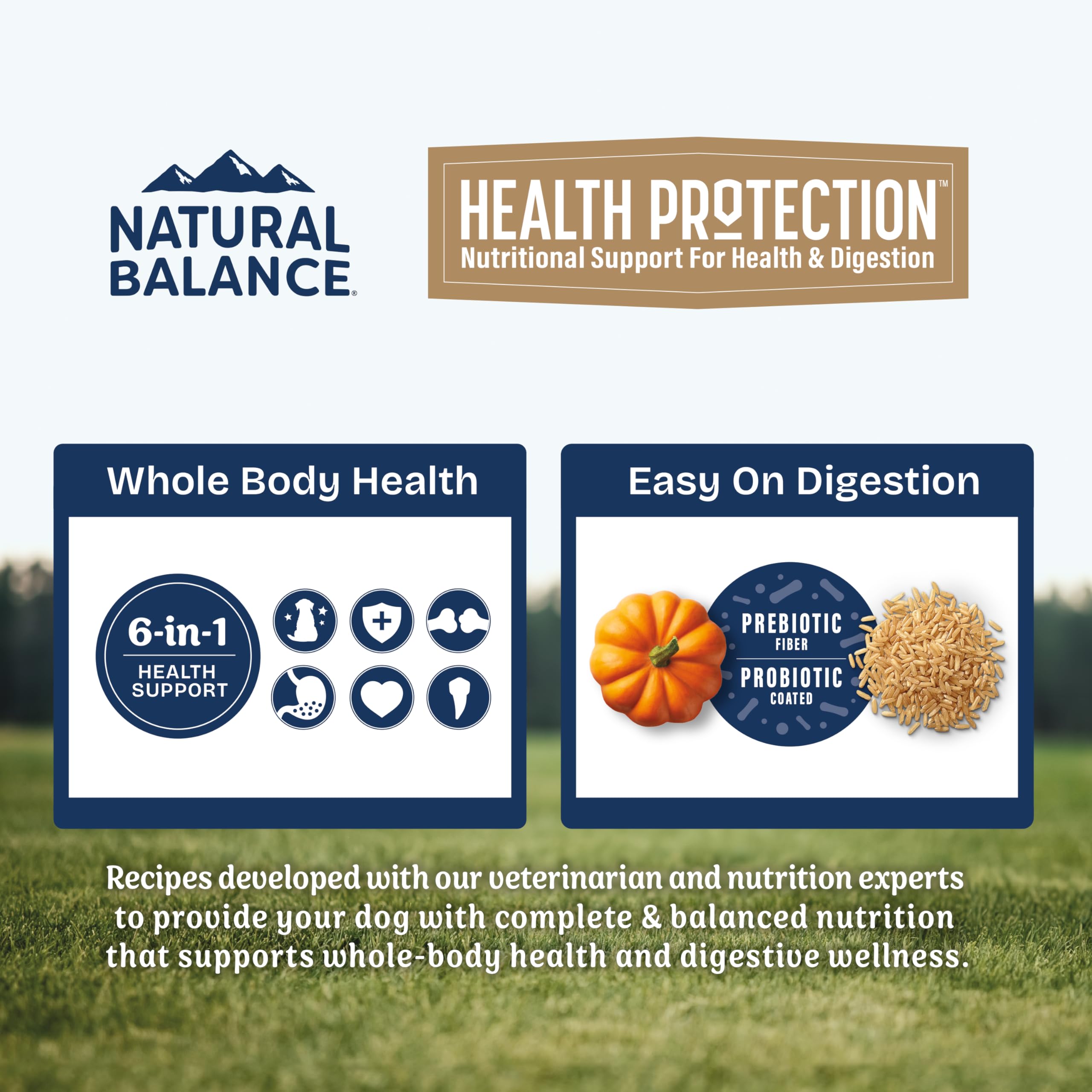 Natural Balance Health Protection Dry Dog Food – Whole Body Health, Easy on Digestion Dog Food Made with Chicken, Brown Rice & Pumpkin for Dogs - 24lbs.