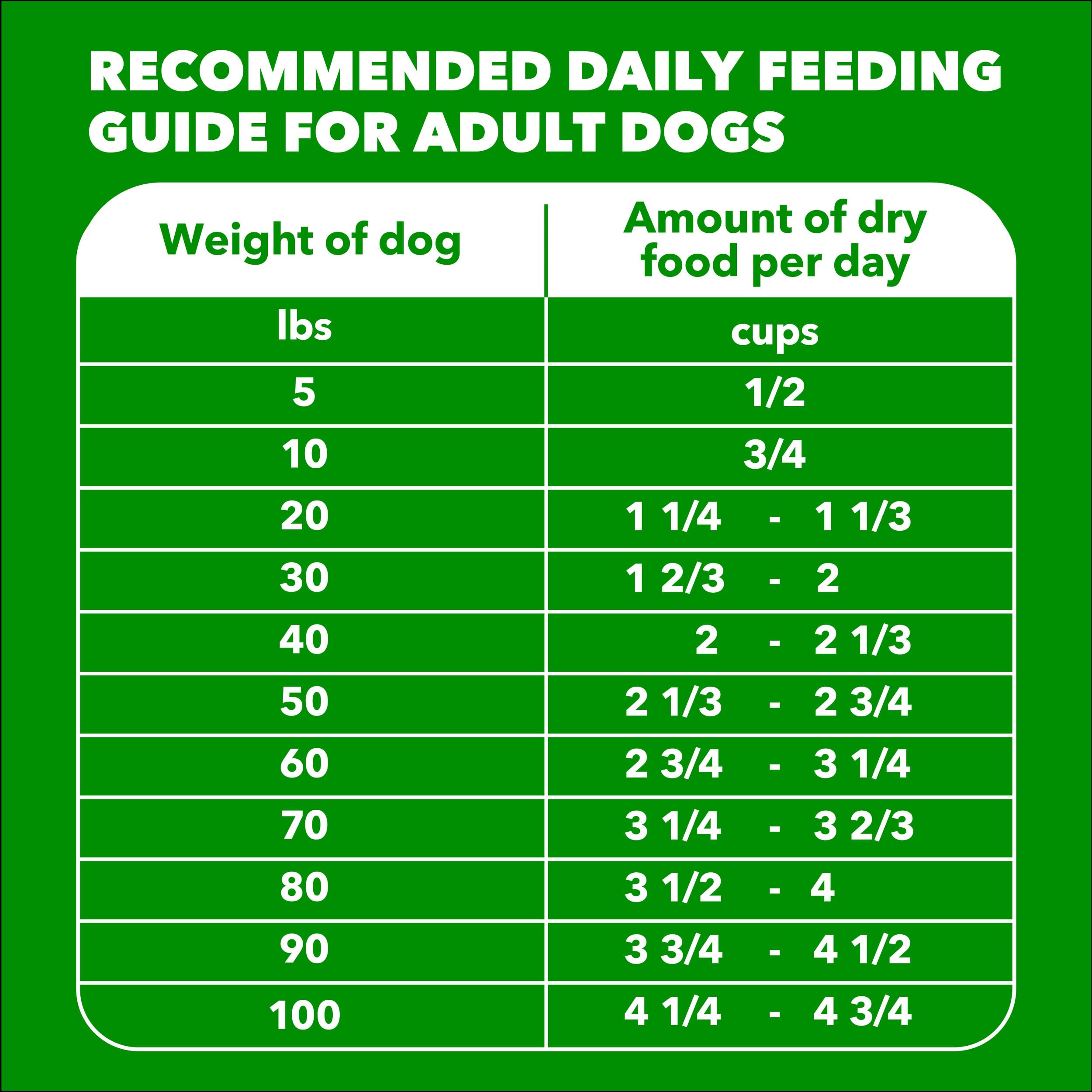 IAMS Proactive Health Minichunks Premium Dry Dog Food, Adult Dog Food Dry Recipe, 15 lb. Bag