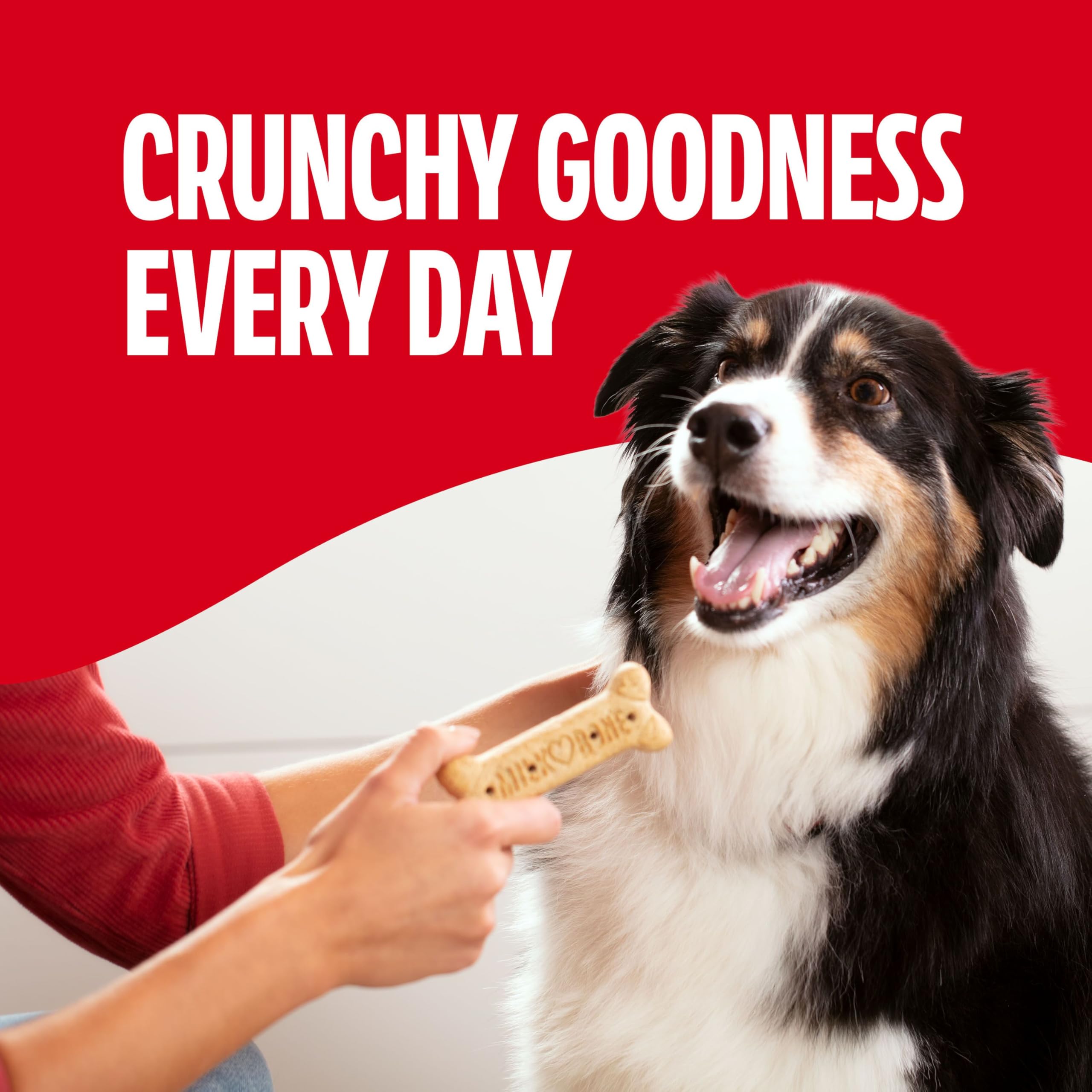 Milk-Bone Original Dog Treats Biscuits for Large Dogs, 10 Pounds (Packaging May Vary)