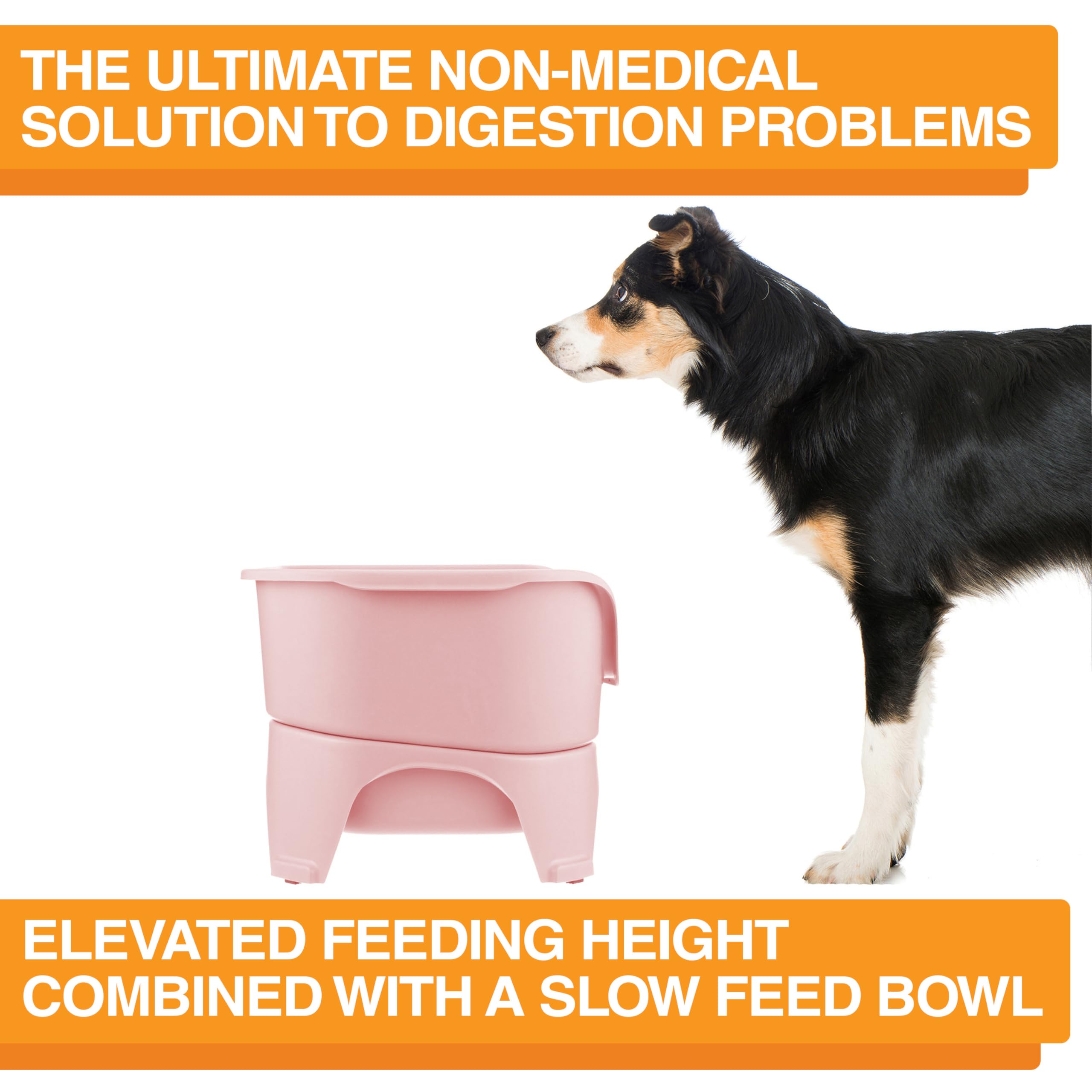 Neater Feeder Express Mess Proof Dog Bowls Elevated for Medium and Large Breed – Made in USA – No Spill Raised Slow Feeder Elevated Dog Bowl Stand, Slow Feed Food and Water Bowl Set, Pink