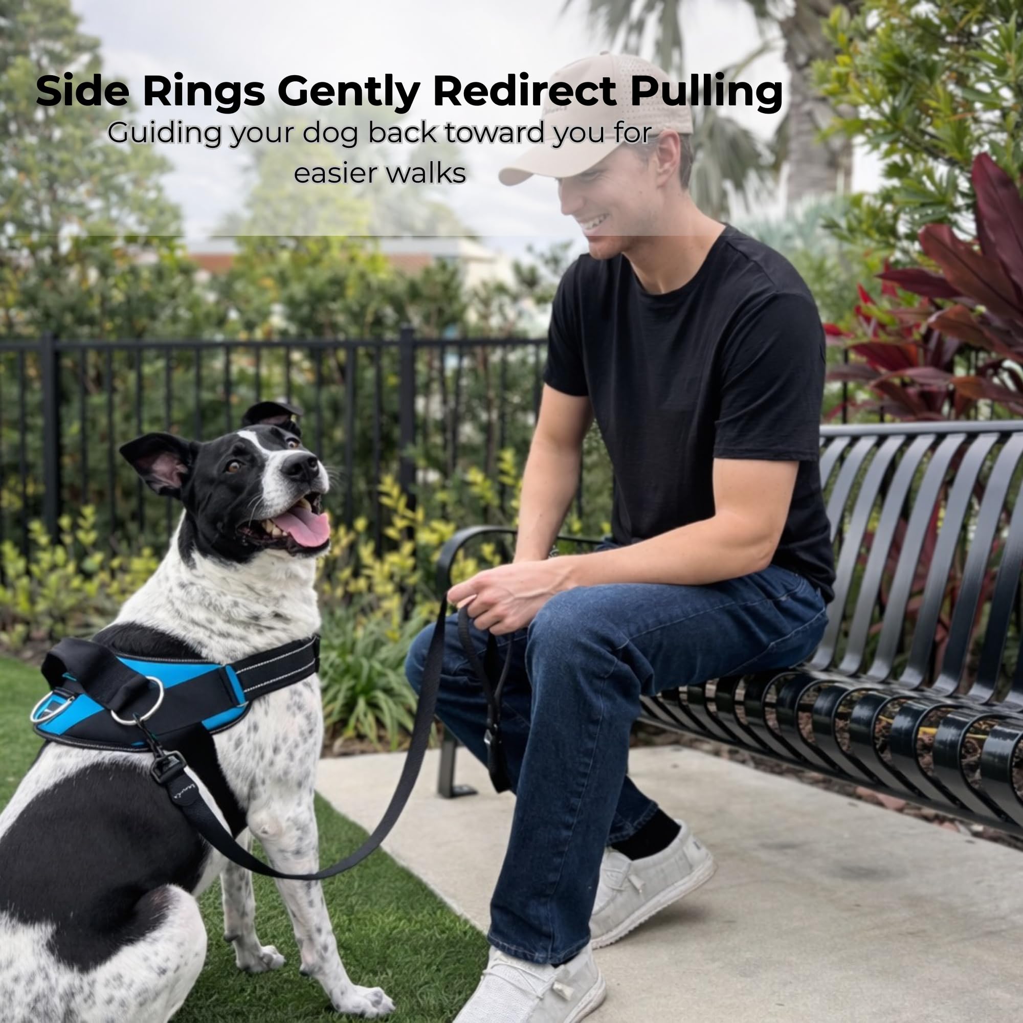 ShawnCo Essential Dog Harness, No-Pull Pet Vest with 3 Leash Clips, No Choke, Reflective, Adjustable and Padded, for Easy Walking and Training for Small, Medium and Large Dogs (Stars and Stripes, S)