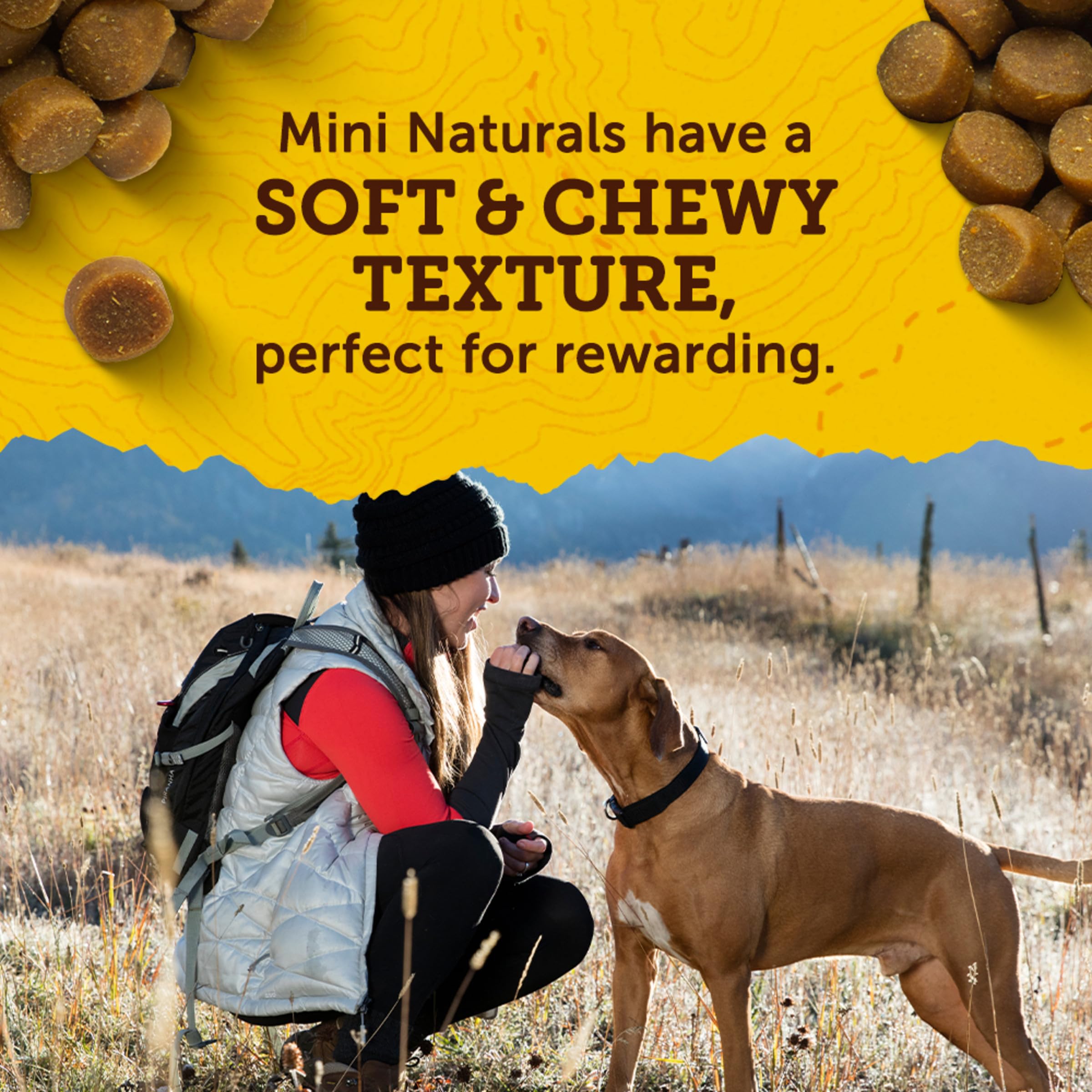 Zuke’s Mini Naturals Soft And Chewy Dog Treats For Training Pouch, Natural Treat Bites With Beef Recipe - 6 oz. Bag
