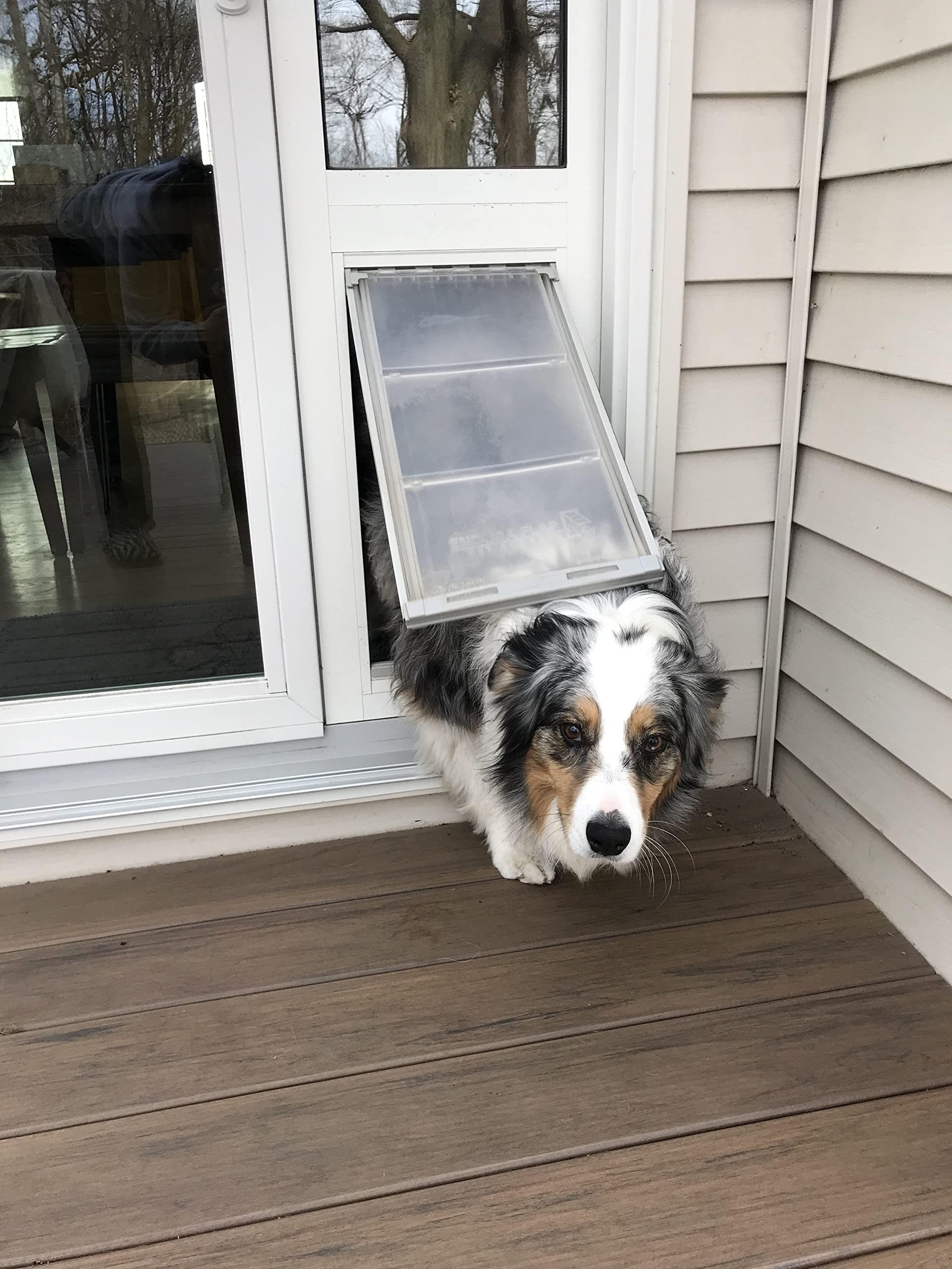 Endura Flap Thermo Panel Pet Door for Sliding Glass Doors | Heavy-Duty Aluminum Frame with Secure Locking Cover | Energy Efficient & Easy Install | White, Large Flap, 74.75"-77.75" Slider Height