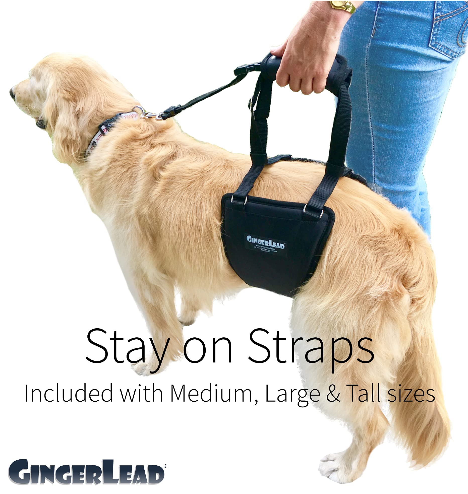 GINGERLEAD Dog Sling Hip Lift Harness, Tall Male fits Tall, Lean Dogs Like Greyhounds or Great Danes. Padded Support Aid to Help Pets Up or Down Stairs, in or Out of Vehicles. Made in U.S.A.