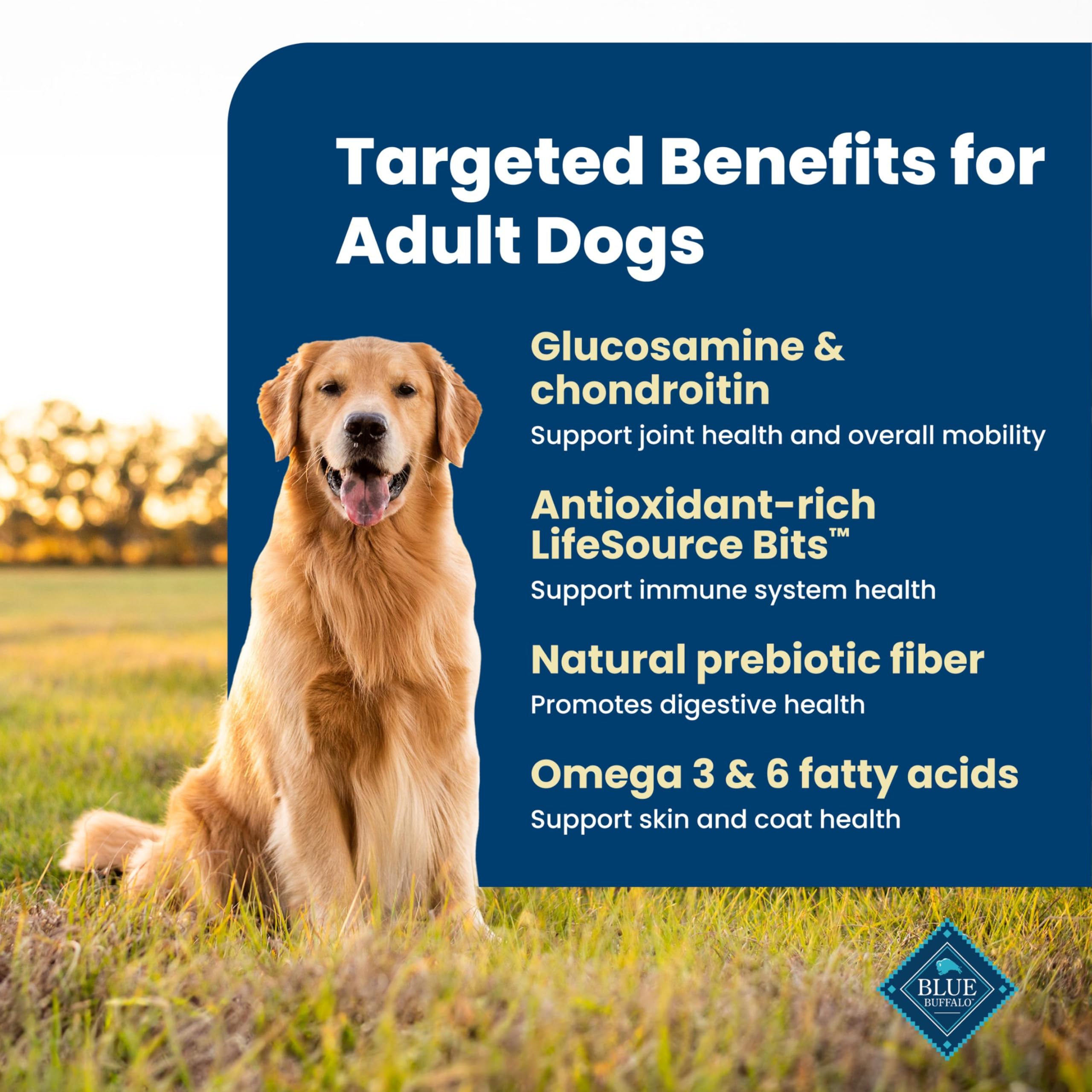 Blue Buffalo Life Protection Formula Chicken & Brown Rice Adult Dry Dog Food, Supports Immunity with Antioxidant-Rich LifeSource Bits, Promotes Healthy Muscle Development, Skin & Coat Health, 5 lbs.