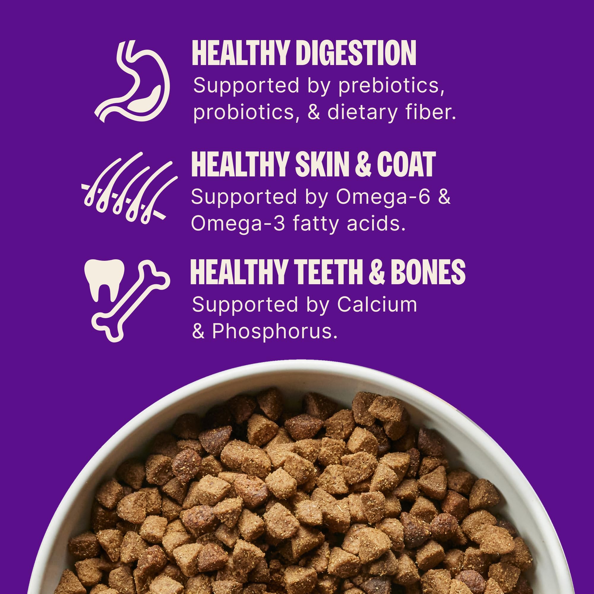 Wellness Complete Health Puppy Dry Dog Food, Wholesome Grain Kibble, Natural, Chicken, Oatmeal, and Salmon Recipe, 30 lb Bag