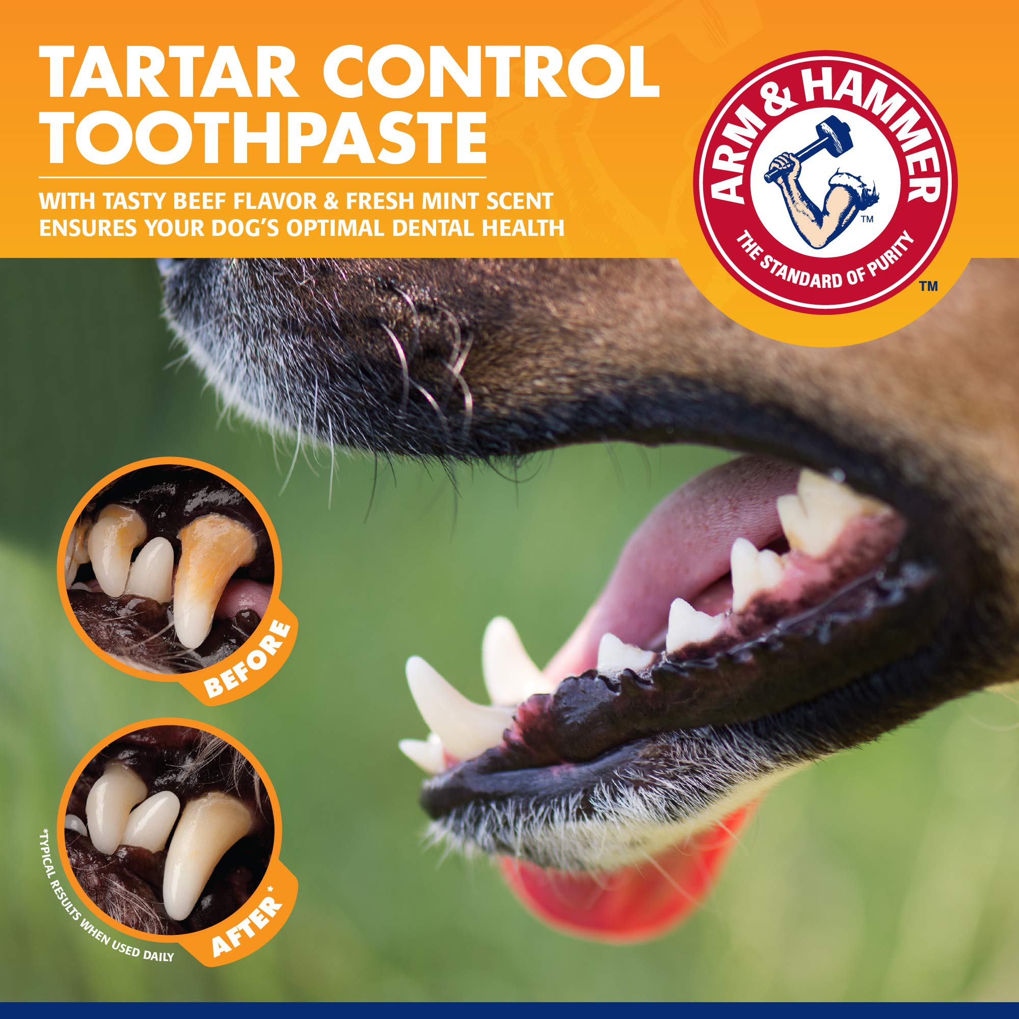 Arm & Hammer for Pets Tartar Control Dog Dental Kit, Enzymatic Toothpaste with Toothbrush and Fingerbrush, Baking Soda Formula Reduces Plaque and Tartar, Safe for Puppies, Beef Flavor, 3-Piece