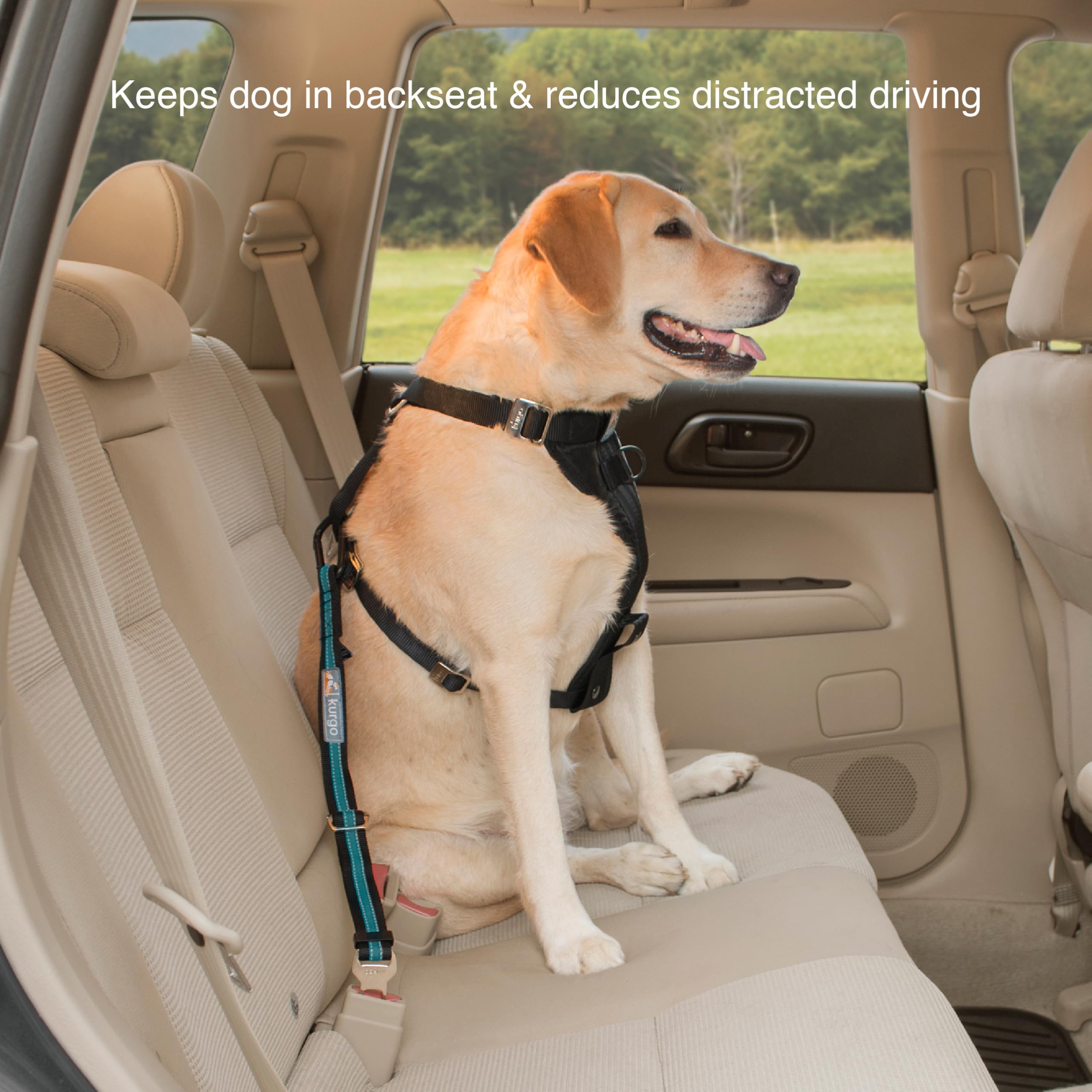 Kurgo Direct to Seatbelt Tether - Easy-Use Dog Car Harness Clip - Adjustable Ride Strap - Universal Fit for Most Vehicles - All Steel Hardware - Backseat Restraint - Coastal Blue