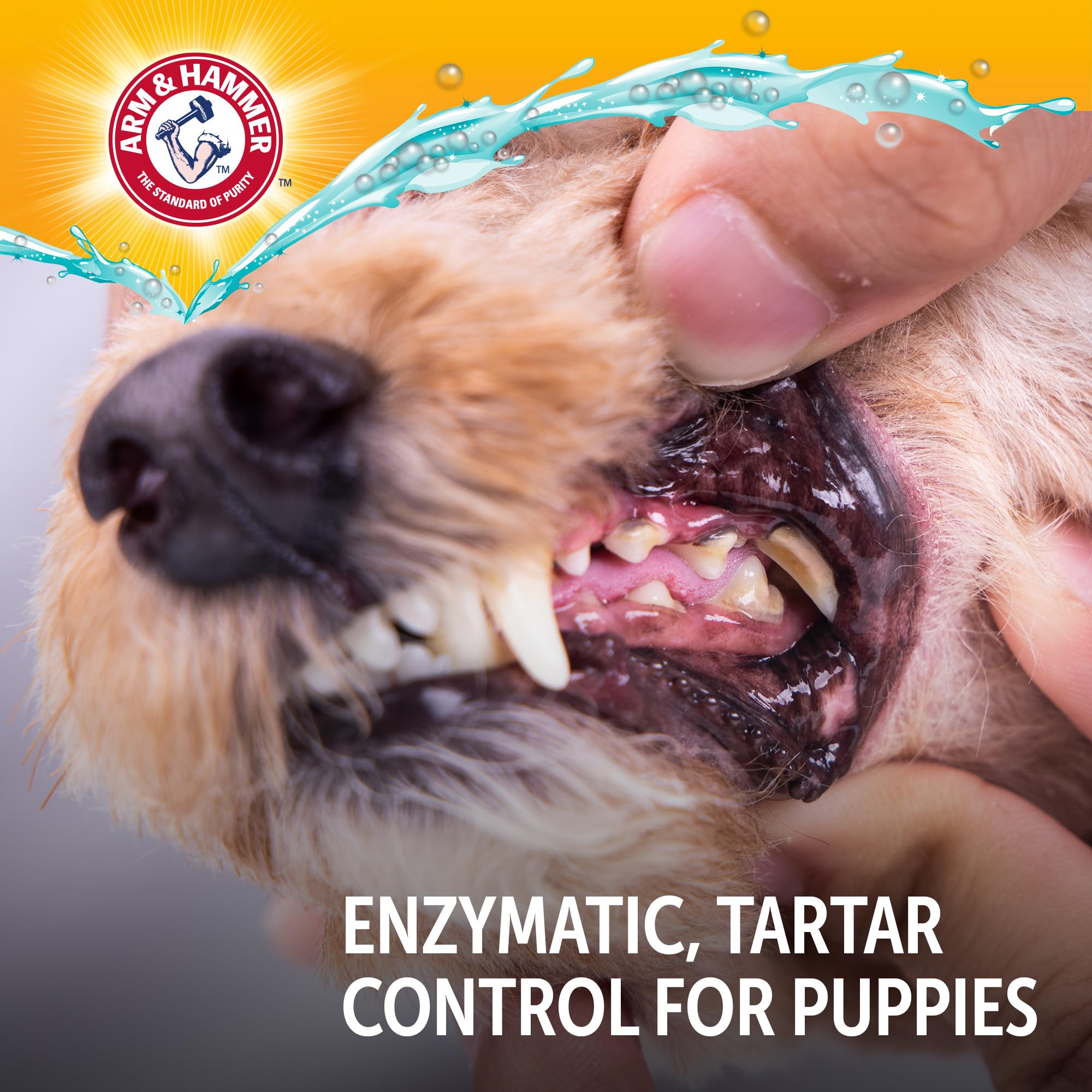 Arm & Hammer Complete Care Enzymatic Dog Toothpaste, Peanut Butter Flavor, Baking Soda and Calcium, Enzymatic Tartar Control Formula, Non-Toxic, Fluoride Free, 6.2 Oz
