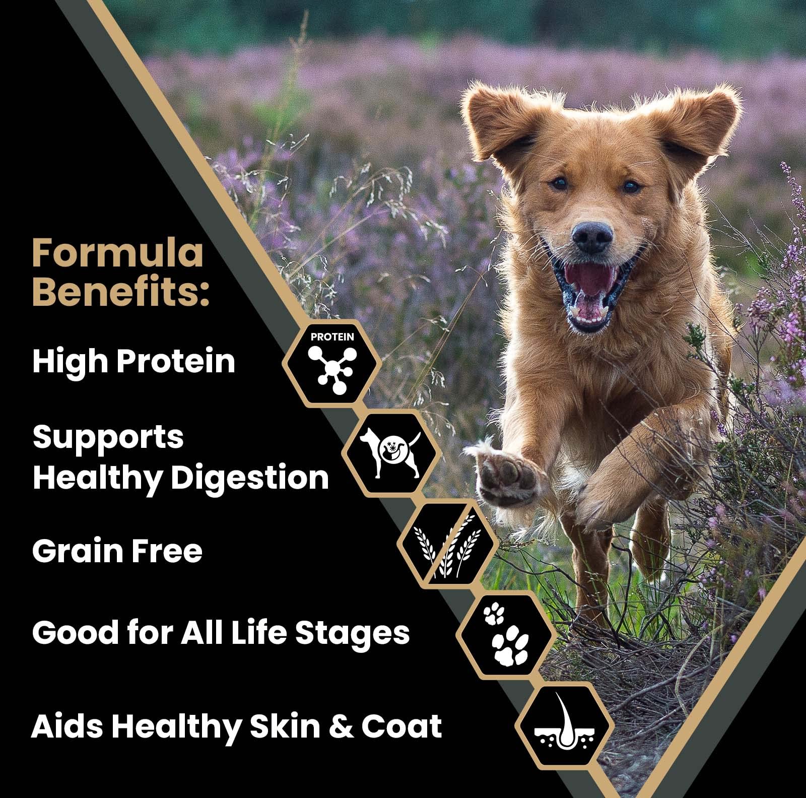 VICTOR Super Premium Dog Food – Grain Free Ultra Pro Kibble – High Protein, Low Carb for Active Dogs – 42% Protein Kibble for Sporting Dogs of All Breeds & Sizes, 30 lb