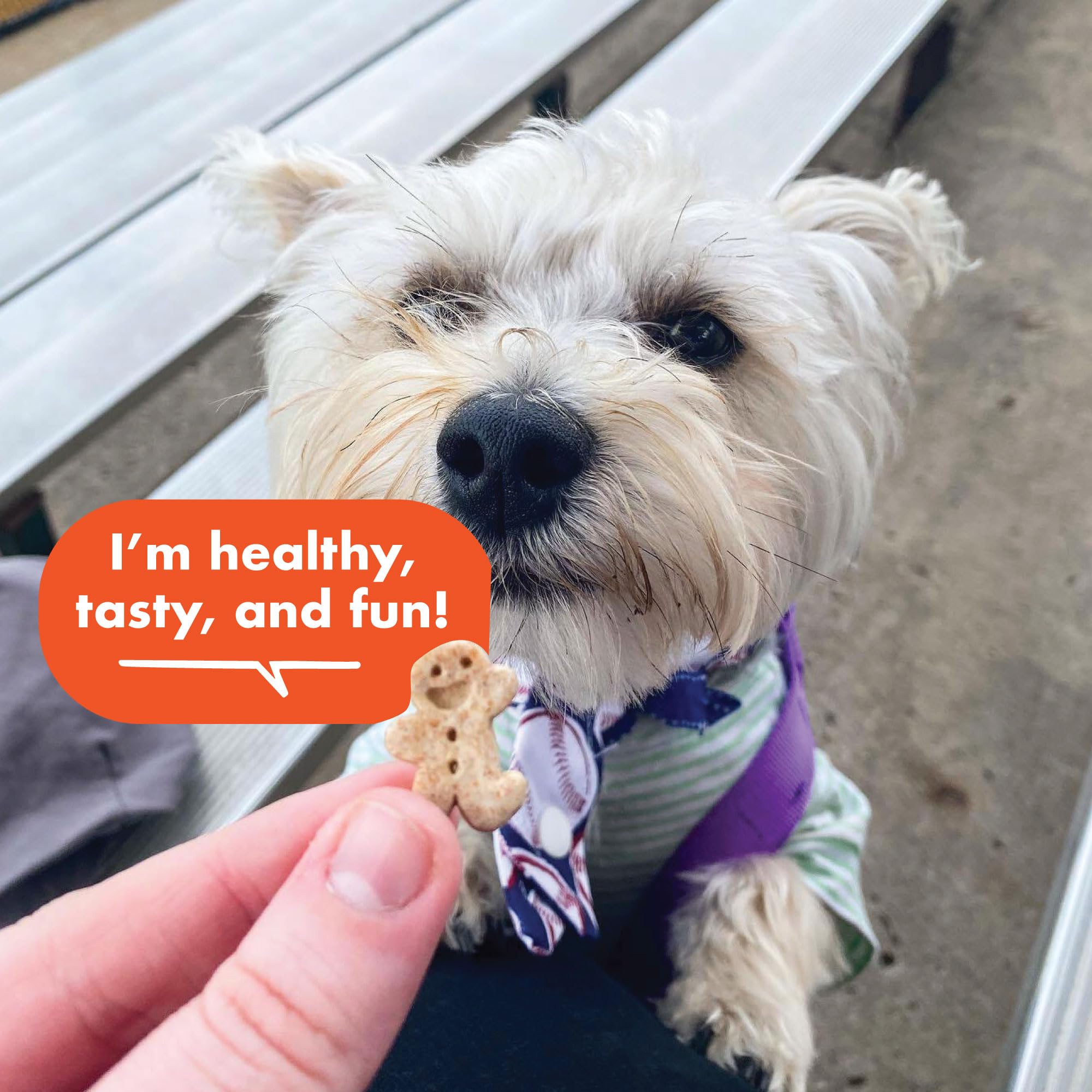 Buddy Biscuits Teeny Crunchy Dog Treats, Peanut Butter, 8 oz. Box