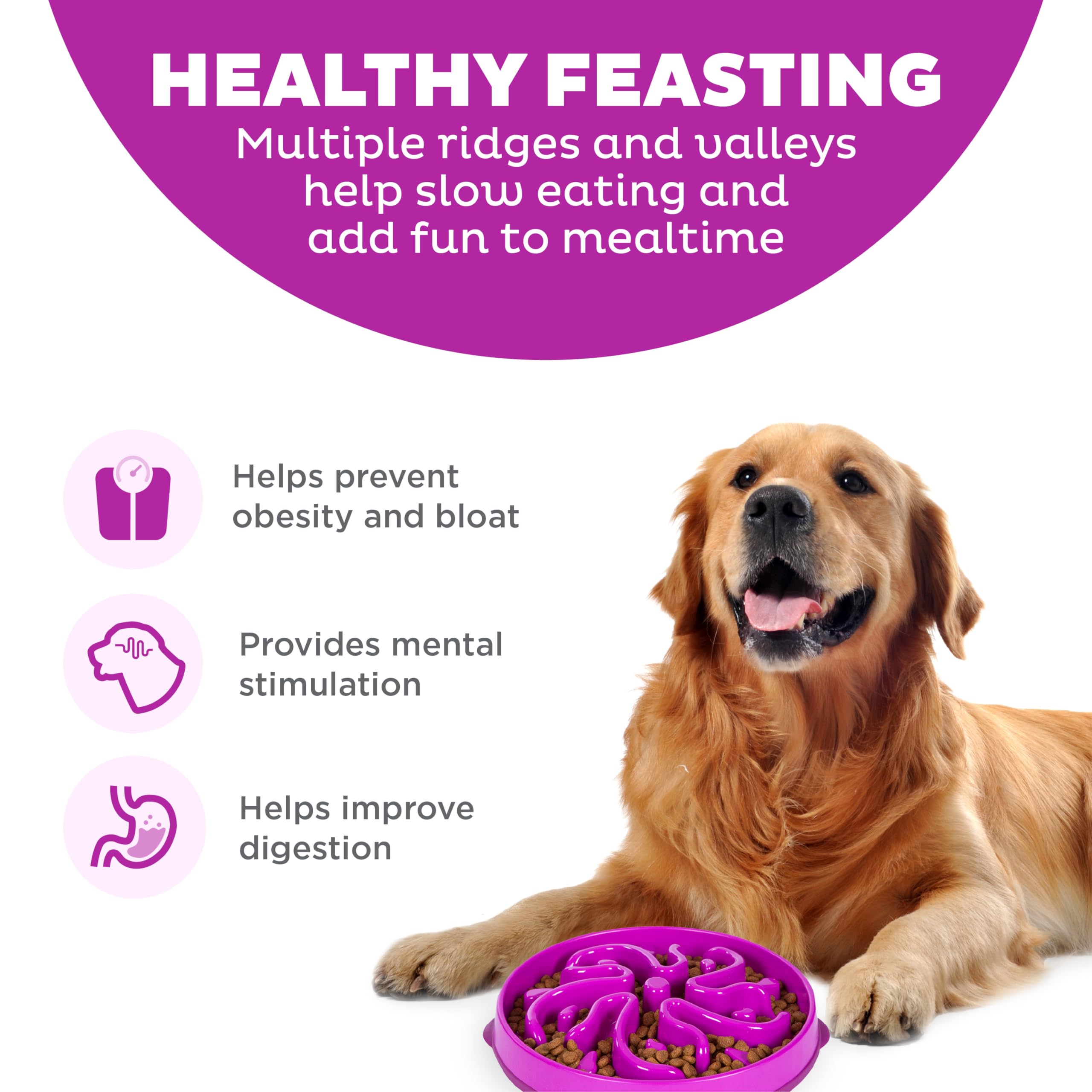Outward Hound Fun Feeder Slo Bowl – Large 4‑Cup Capacity, Slow Feeding, Medium to Large Dogs, Non‑Slip, Purple, Flower Pattern