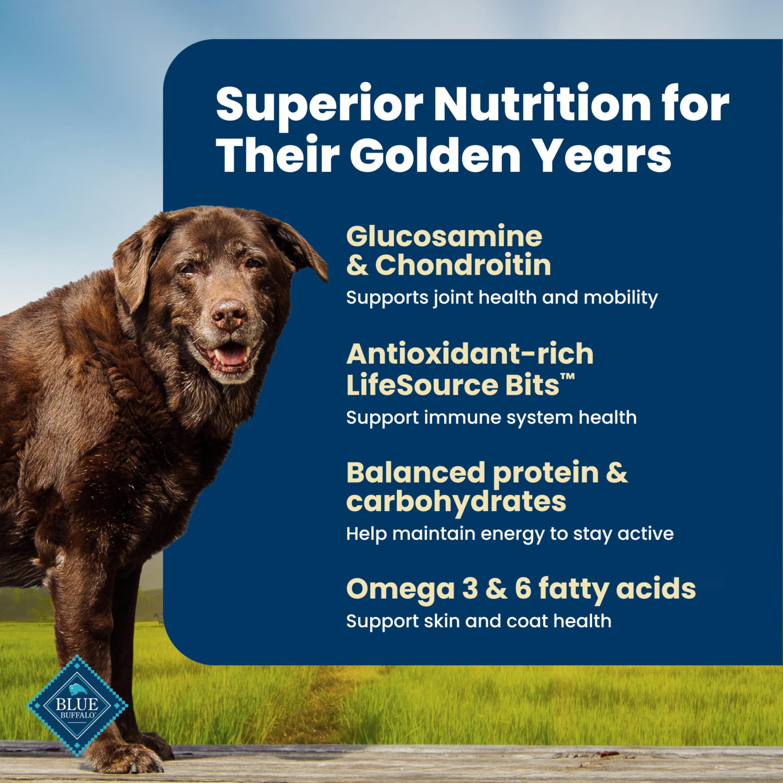 Blue Buffalo Life Protection Formula Chicken & Brown Rice Senior Dry Dog Food, Supports Immunity with Antioxidant-Rich LifeSource Bits, Promotes Healthy Muscle Development, Skin & Coat Health, 5 lbs.