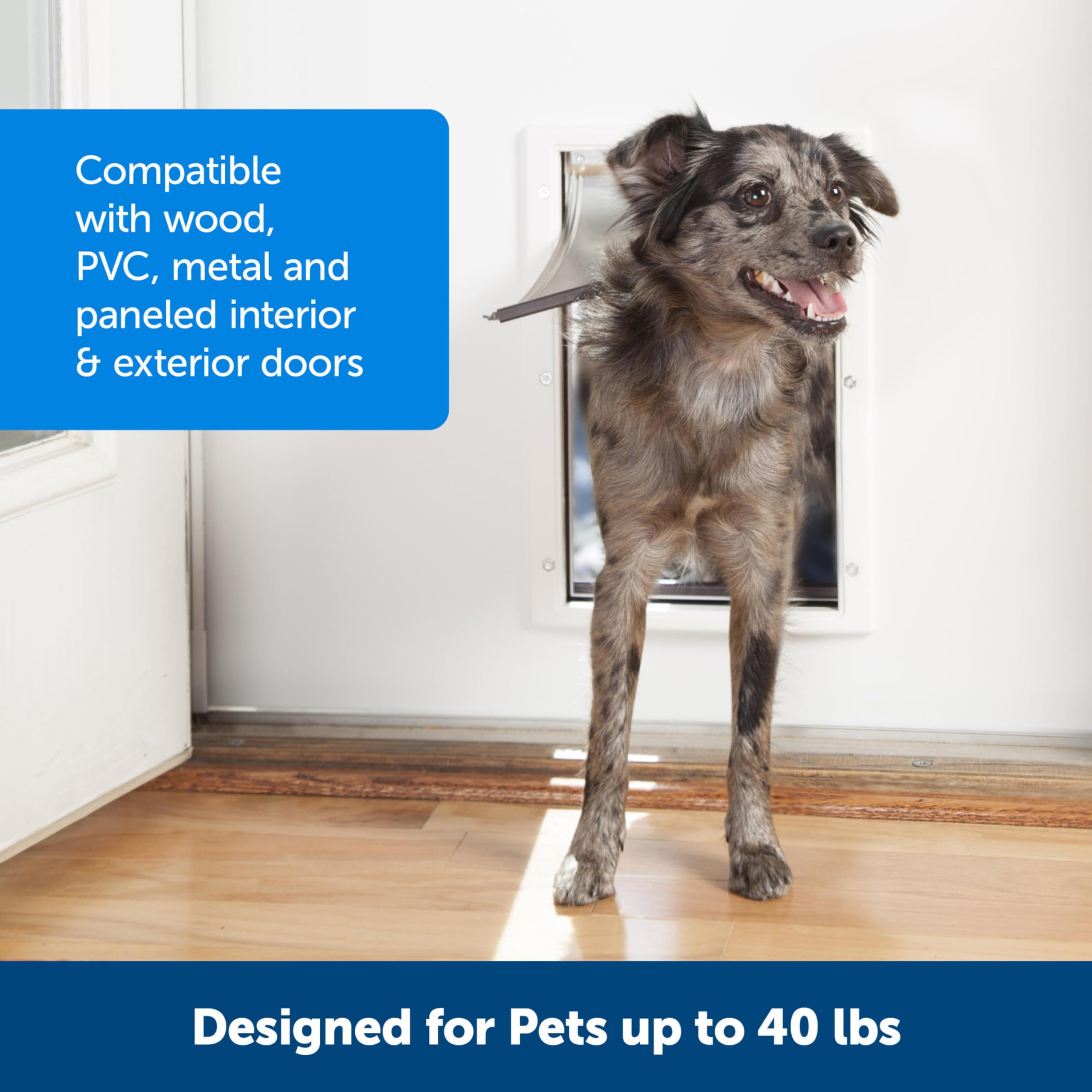 PetSafe Never Rust Dog & Cat Plastic Door, Medium, for Pets Up to 40 lb, Paintable, Easy DIY Installation, Closing Panel Included, Install in Interior & Exterior Doors or Walls, Durable