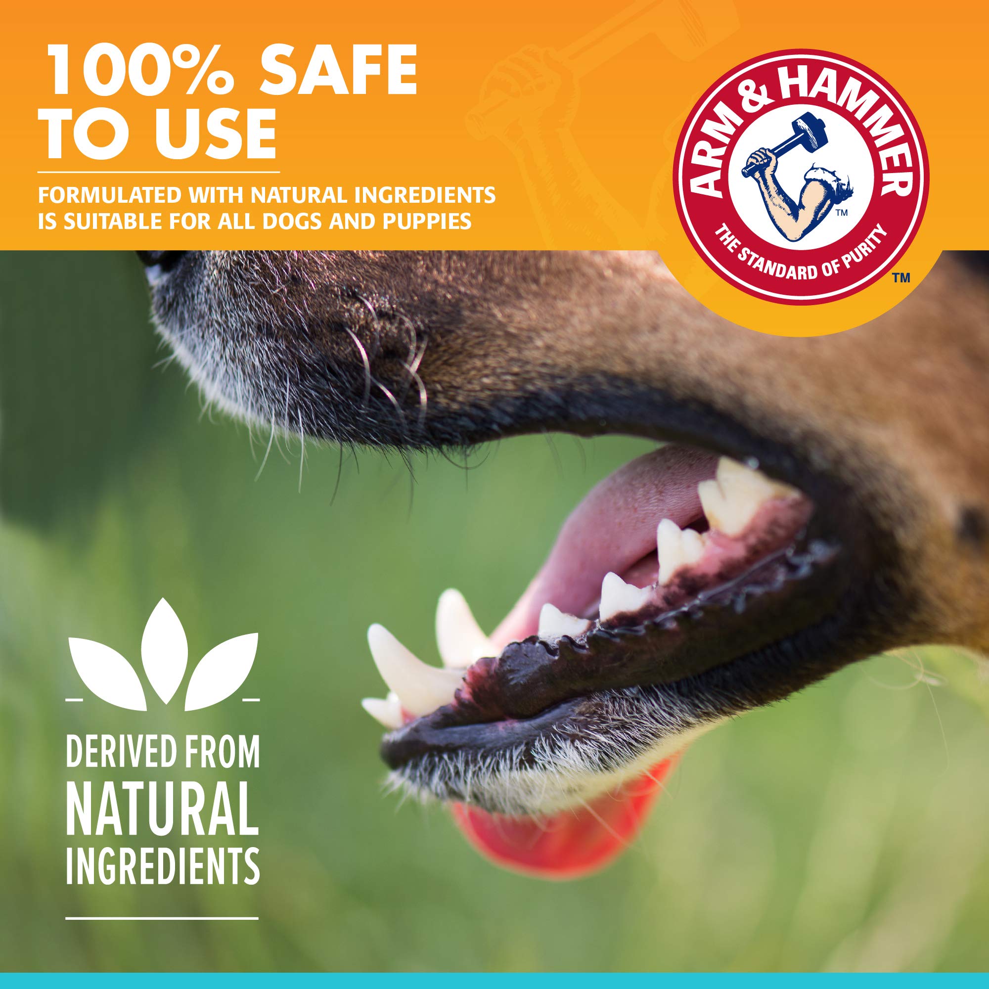 Arm & Hammer for Pets Fresh Breath Enzymatic Dog Toothpaste, Vanilla Ginger Flavor, Safe for Puppies and Adult Dogs, Daily Baking Soda Dental Gel to Eliminate Bad Breath, 2.5 Oz