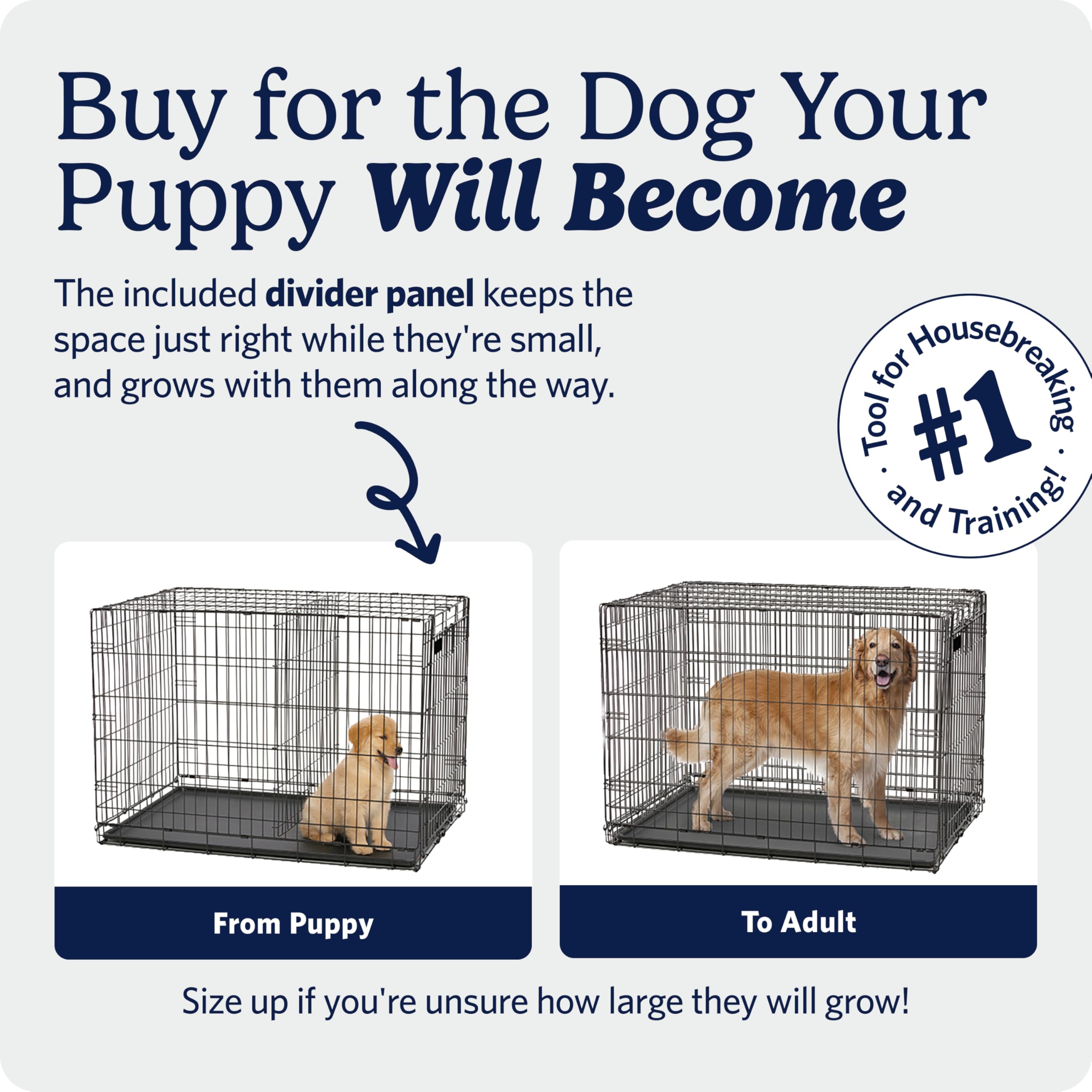 MidWest Homes for Pets 30-Inch iCrate for Medium Breeds, 21-40 lbs, Single Door Folding Dog Crate with Divider Panel, Leak-Proof Tray & Secure Latch, Portable, Durable & Easy to Assemble