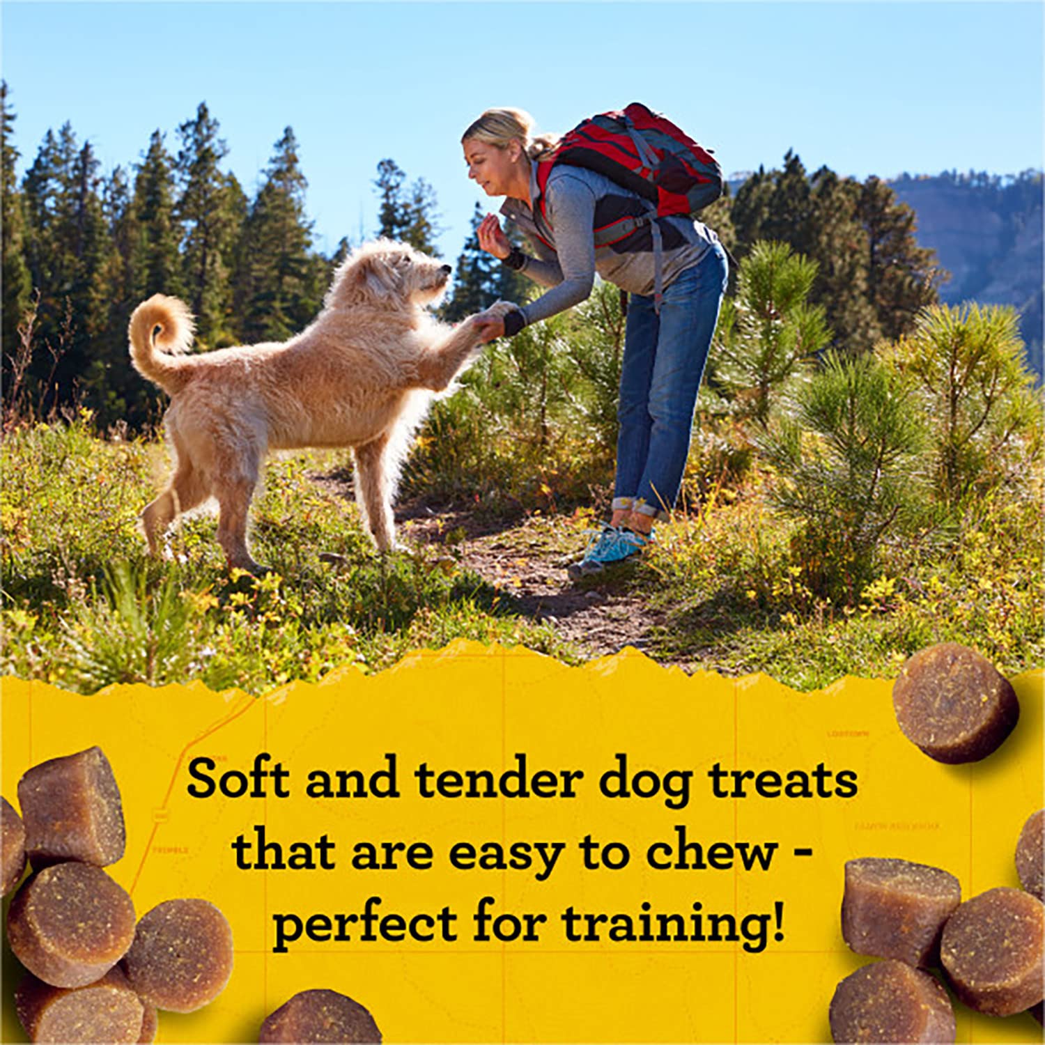 Zuke's Mini Naturals Dog Training Treats, Salmon Recipe, Soft Mini Dog Treats with Vitamins & Minerals, Made for All Breed Sizes (Salmon, 16 Ounce (Pack of 2)
