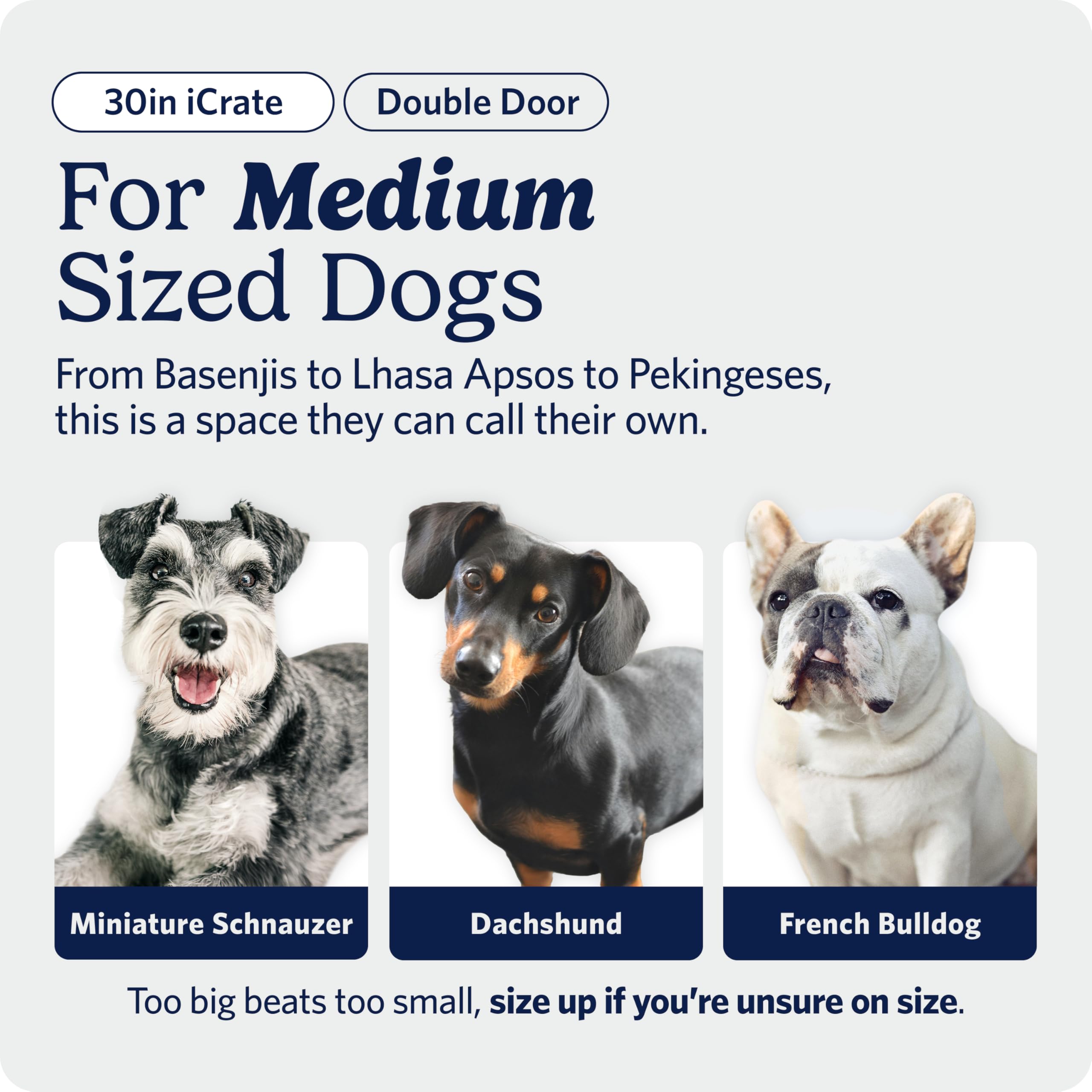 MidWest Homes for Pets 30-Inch iCrate for Medium Breeds, 21-40 lbs, Single Door Folding Dog Crate with Divider Panel, Leak-Proof Tray & Secure Latch, Portable, Durable & Easy to Assemble