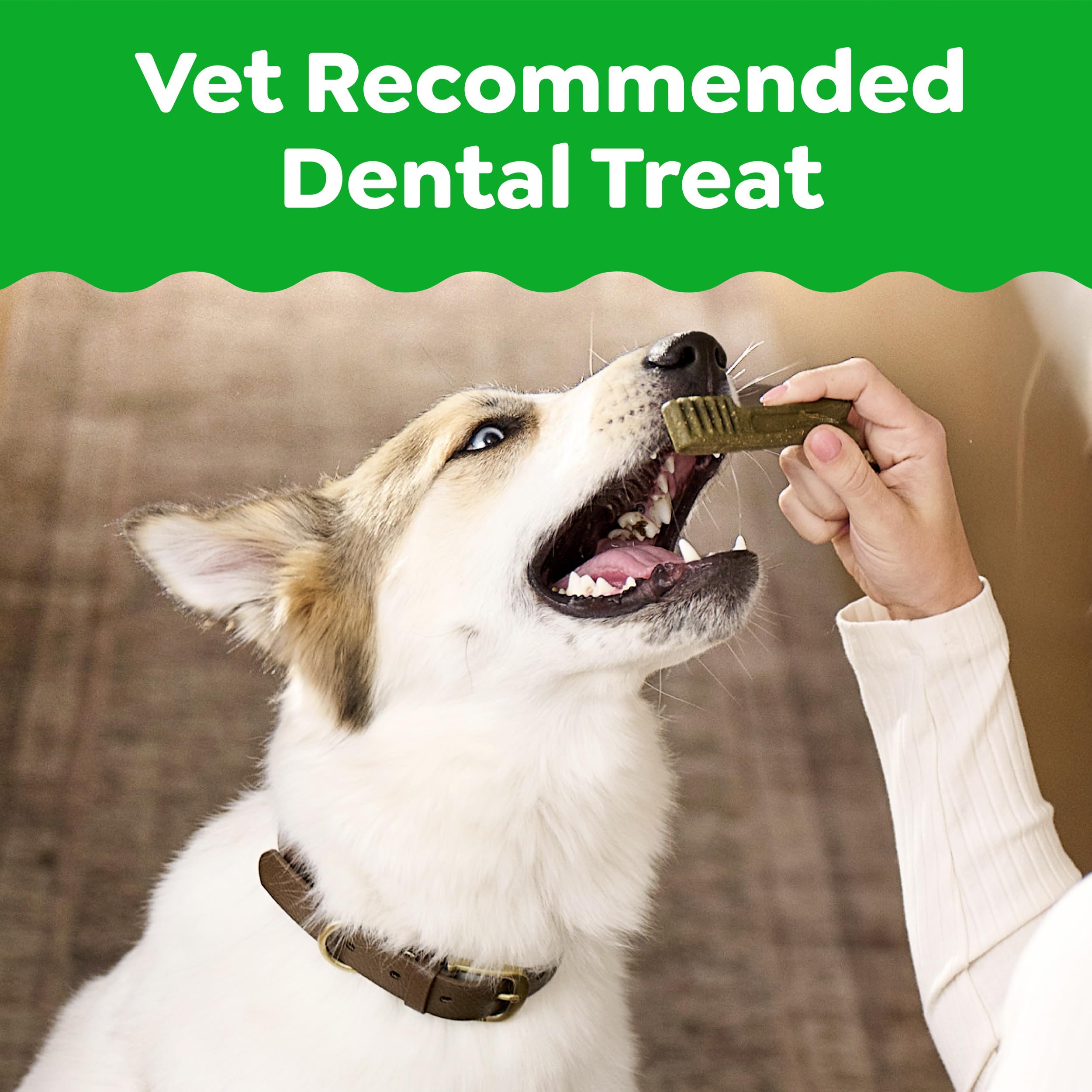 Greenies Veterinarian-Recommended Adult Natural Dental Dog Treats Regular Size, Dog Dental Chews, Original Flavor, 12 oz. Pack, 12 Count
