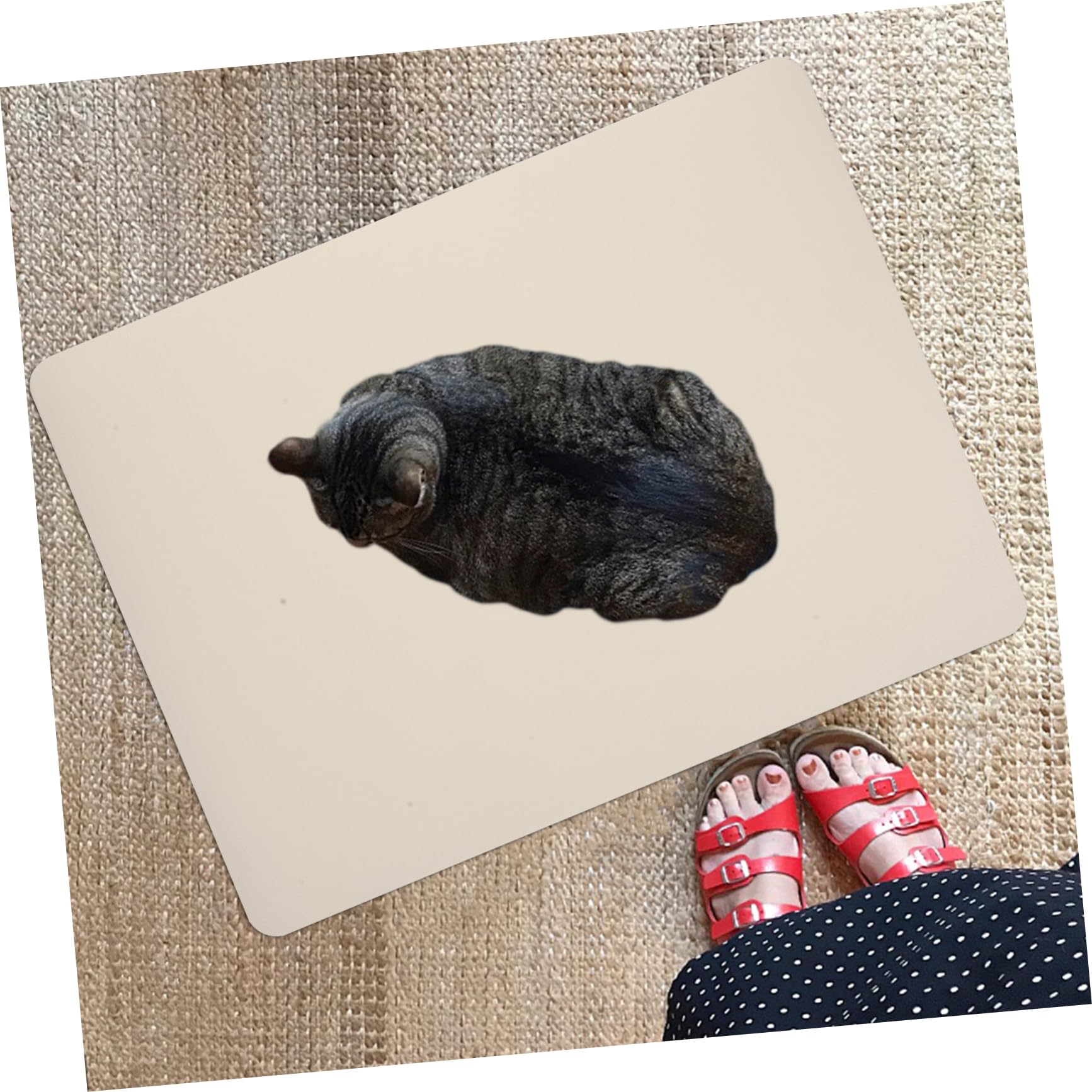 Absorbent Dog Bowl Mat - Quick-Dry Diatomite Feeding for Cats and Dogs Non-Slip, Durable, and Stylish Design