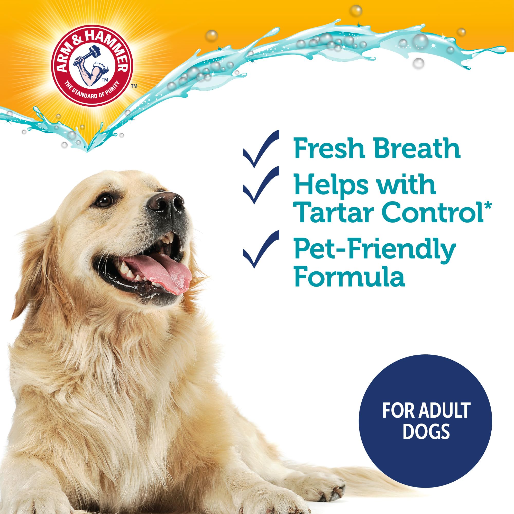 Arm & Hammer Complete Care Enzymatic Dog Toothpaste with Baking Soda and Calcium, Fluoride-Free Chicken Flavor for Plaque, Tartar, and Fresh Breath, 6.2 Oz Value Size