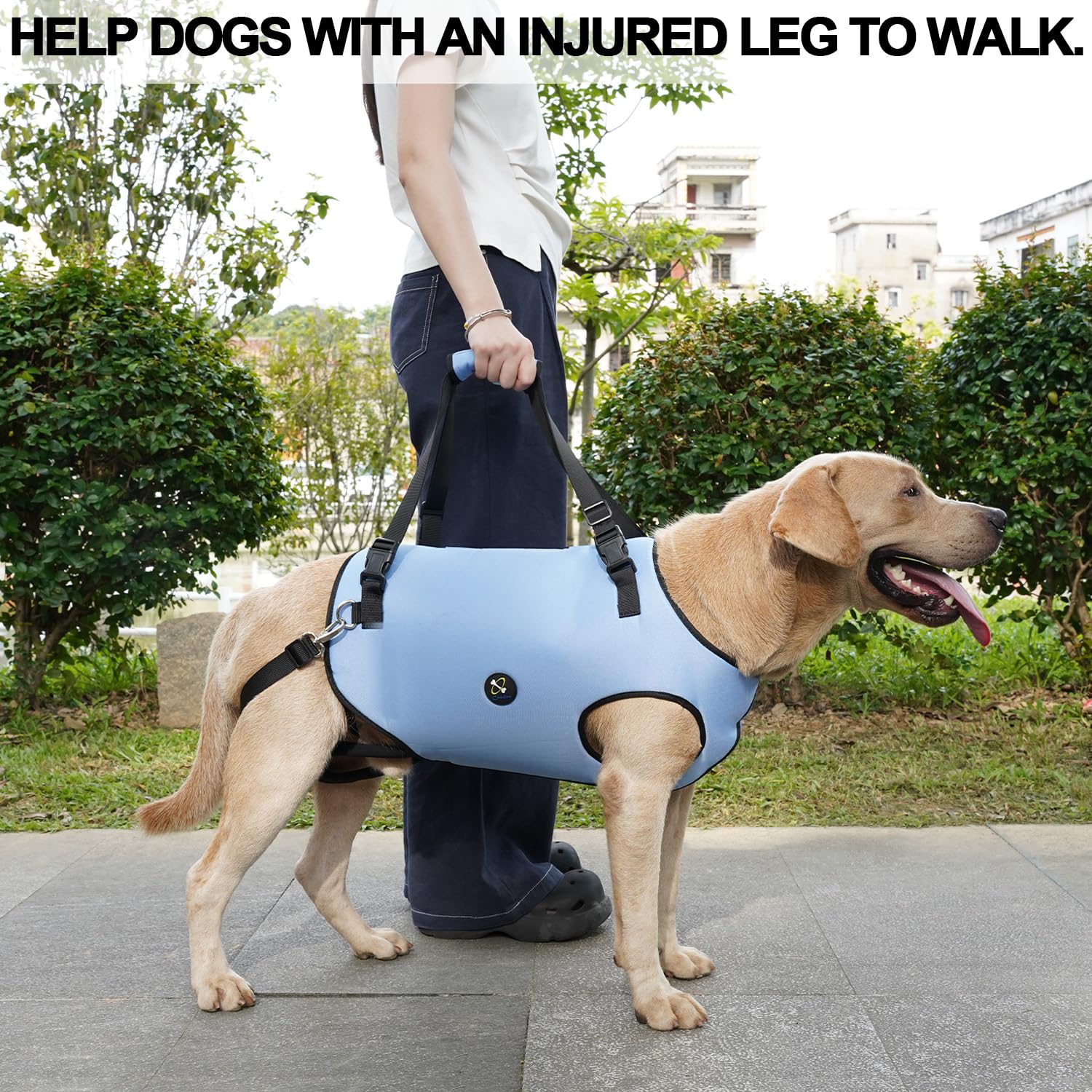 Coodeo Dog Lift Harness, Pet Support & Rehabilitation Sling Lift Adjustable Padded Breathable Straps for Old, Disabled, Joint Injuries, Arthritis, Loss of Stability Dogs Walk (Blue, XL)