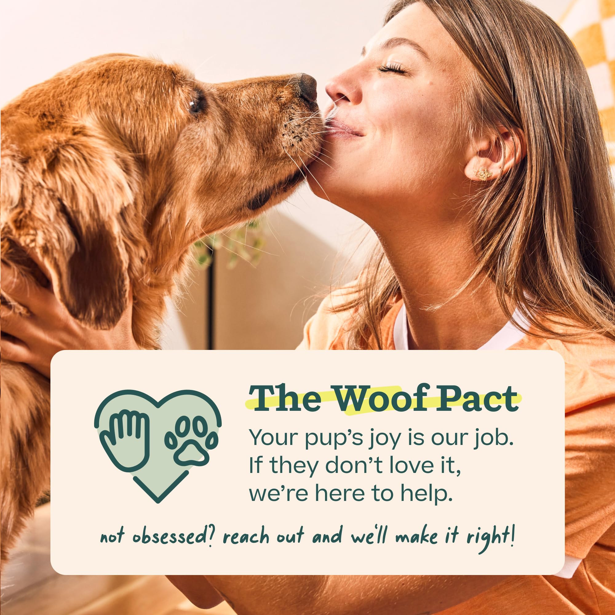 WOOF Walkabout- Small Large Green - Parent