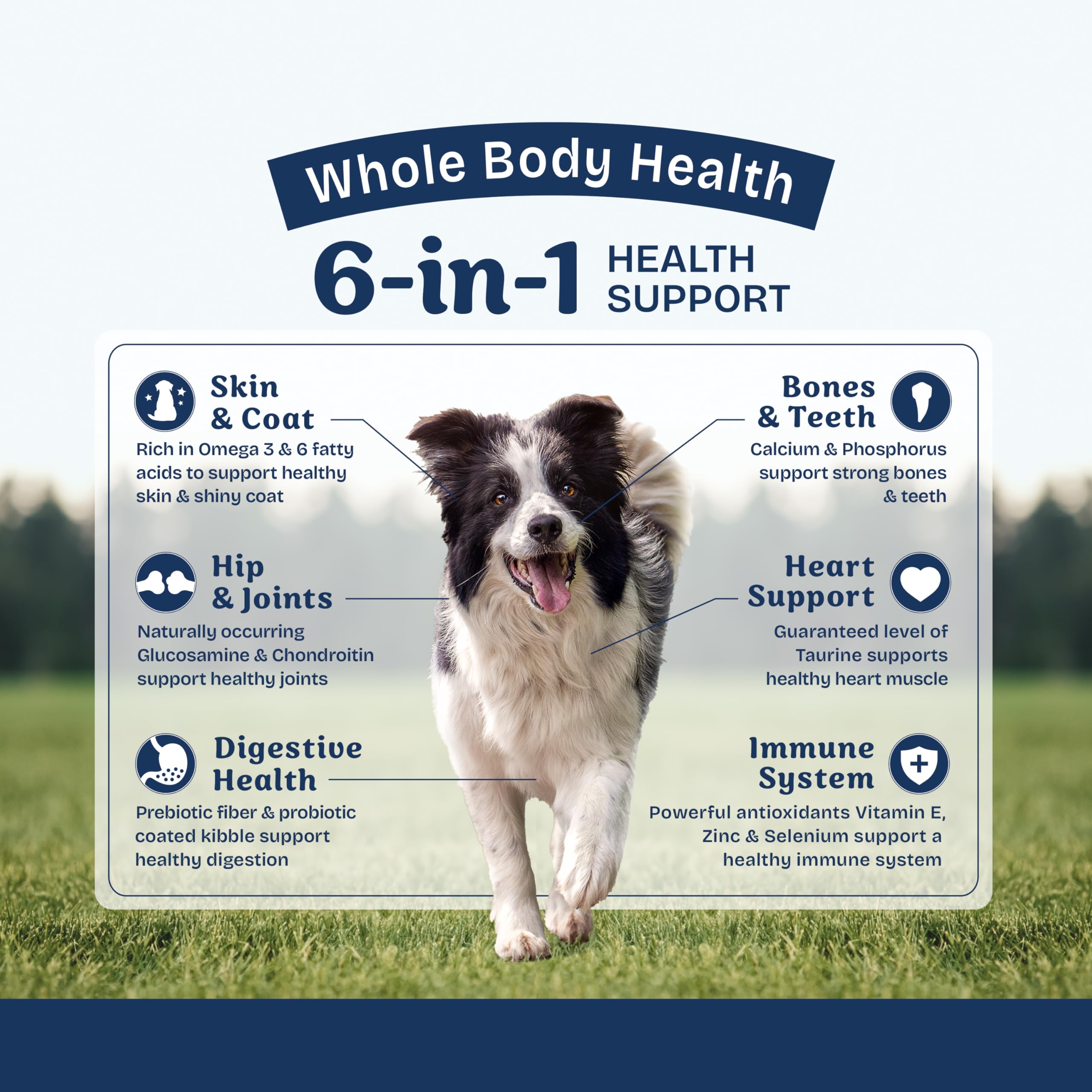 Natural Balance Health Protection Dry Dog Food – Whole Body Health, Easy on Digestion Dog Food Made with Chicken, Brown Rice & Pumpkin for Dogs - 24lbs.