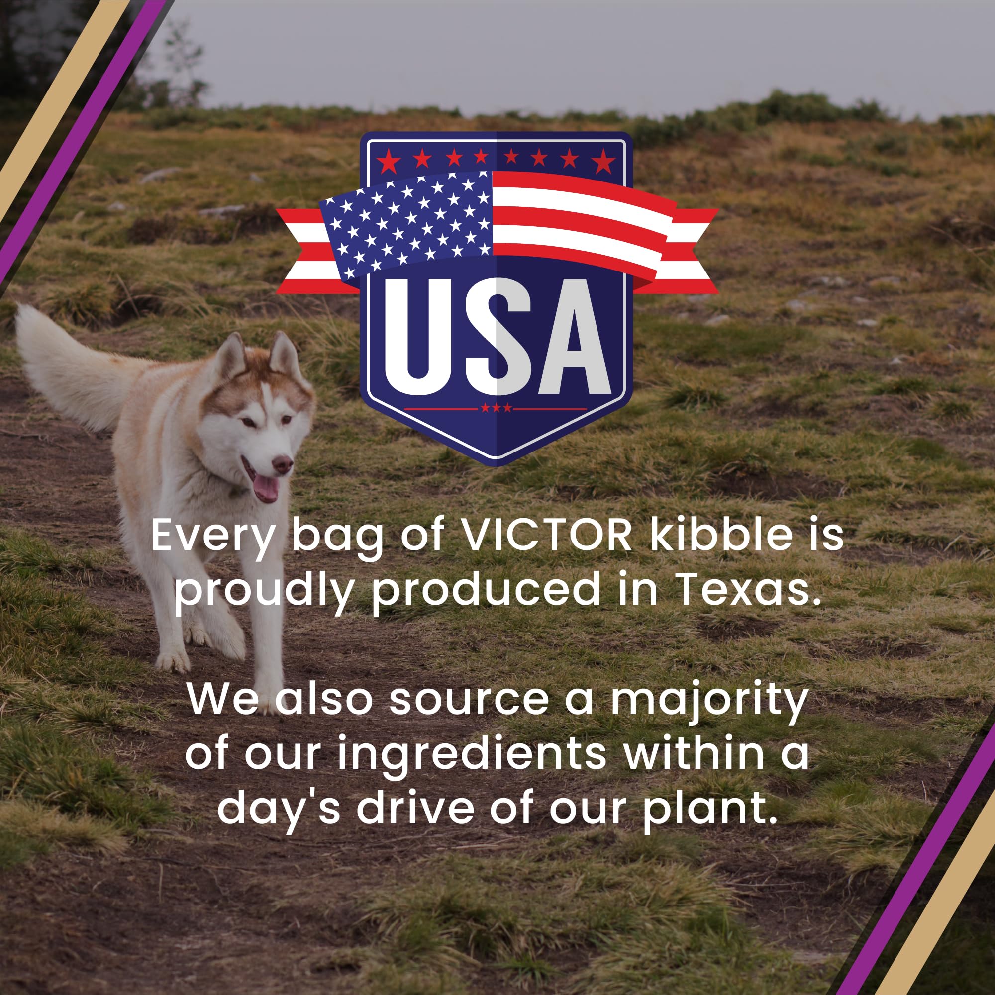 VICTOR Super Premium Dog Food – Professional Dry Dog Food – Super Premium Kibble with 26% Protein – Gluten-Free with Beef, Chicken & Pork Meals – for High Energy and Active Dogs & Puppies, 40lbs