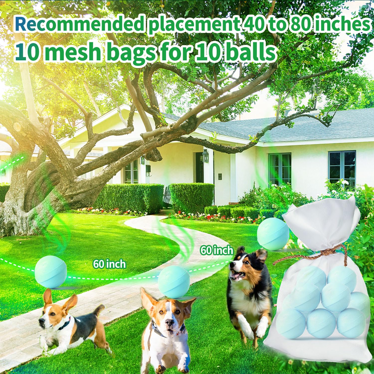 LAOFAN Dog Deterrent Outdoor, Dog Repellent for Yard, Preventing Dogs from Peeing Digging 10 Pack Natural Peppermint Oil Dog Cat Deterrent Ball Keep Out of Lawn Garden Prevent Scratch and Chew（Blue）