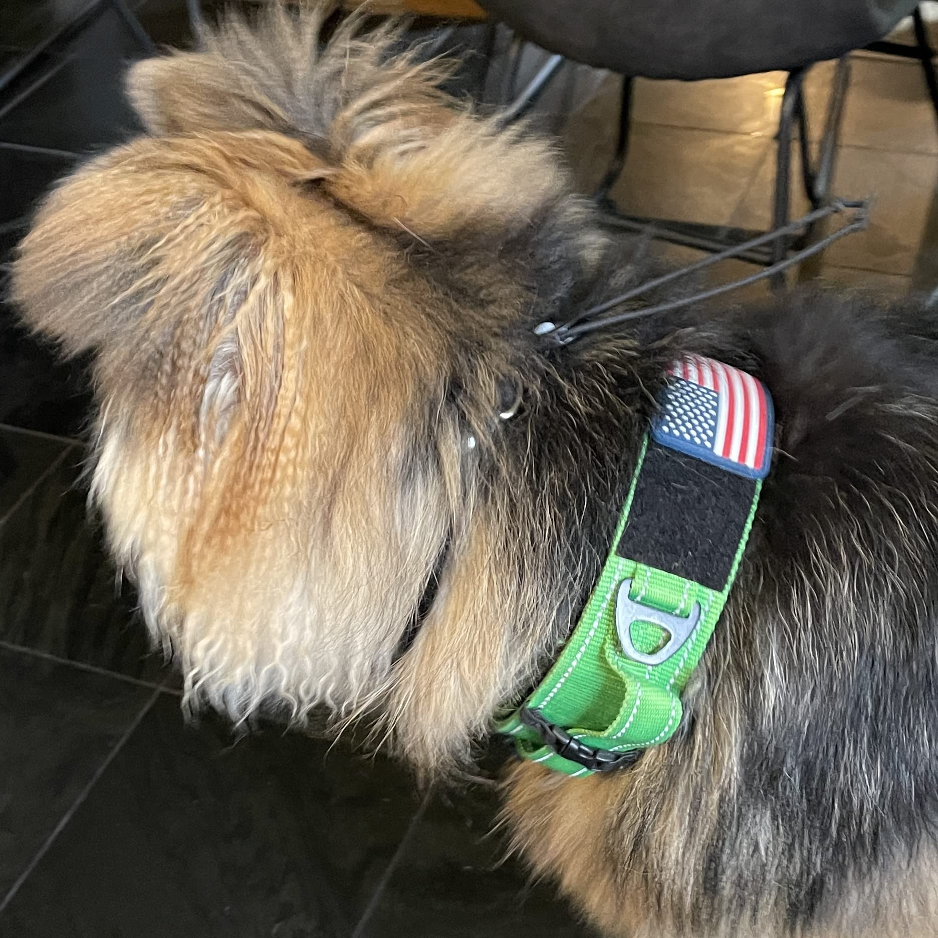 2-Inch Wide Tactical Dog Collar with Control Handle, Adjustable for Medium & Large Dogs, Military Style with Heavy-Duty Metal Buckle, USA Flag Patch & Customizable Name Plate, Training & Everyday Use