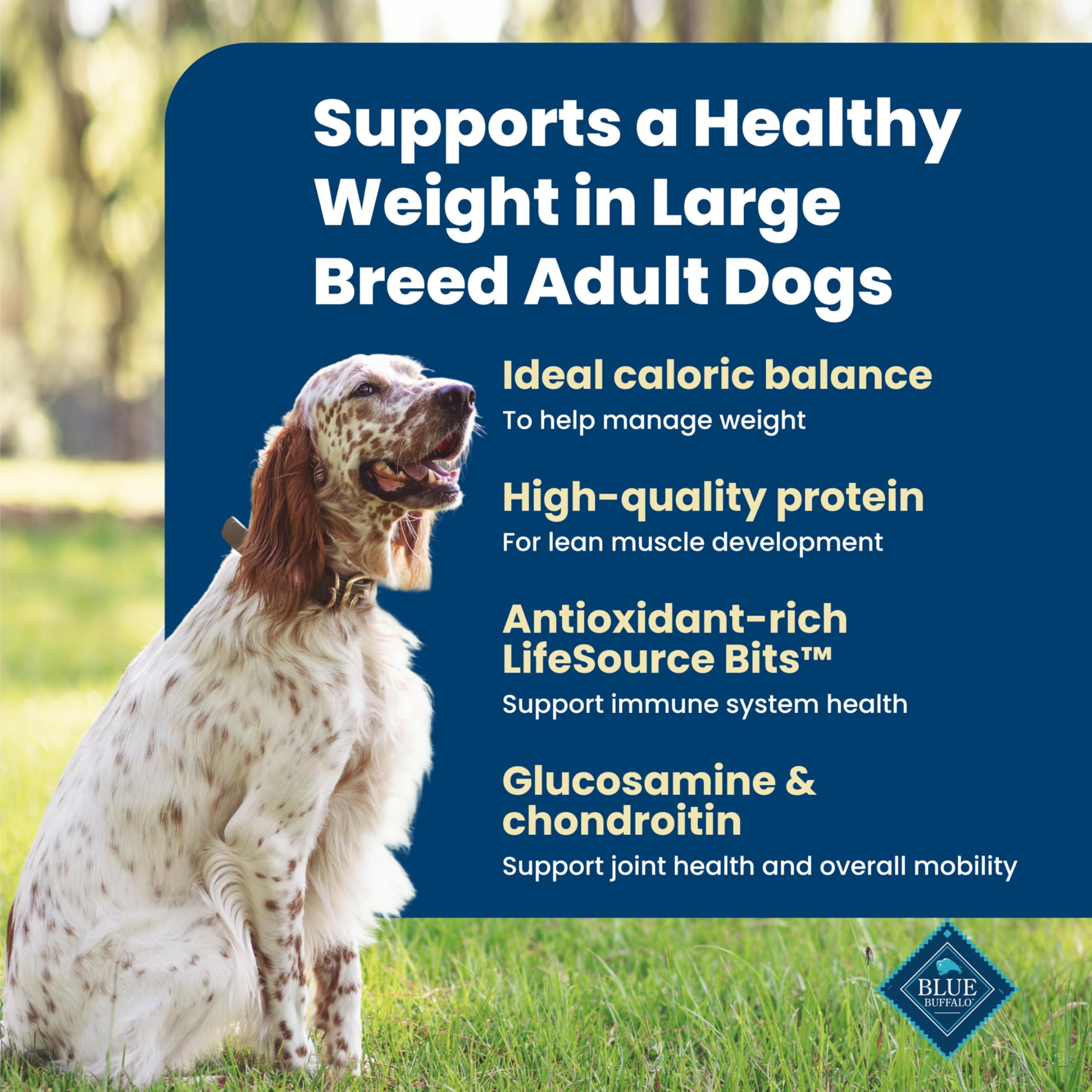 Blue Buffalo Life Protection Formula Chicken & Brown Rice Healthy Weight Large Breed Adult Dry Dog Food, Supports Immunity With LifeSource Bits, Promotes Healthy Lean Muscles & Weight Control, 30 lbs.