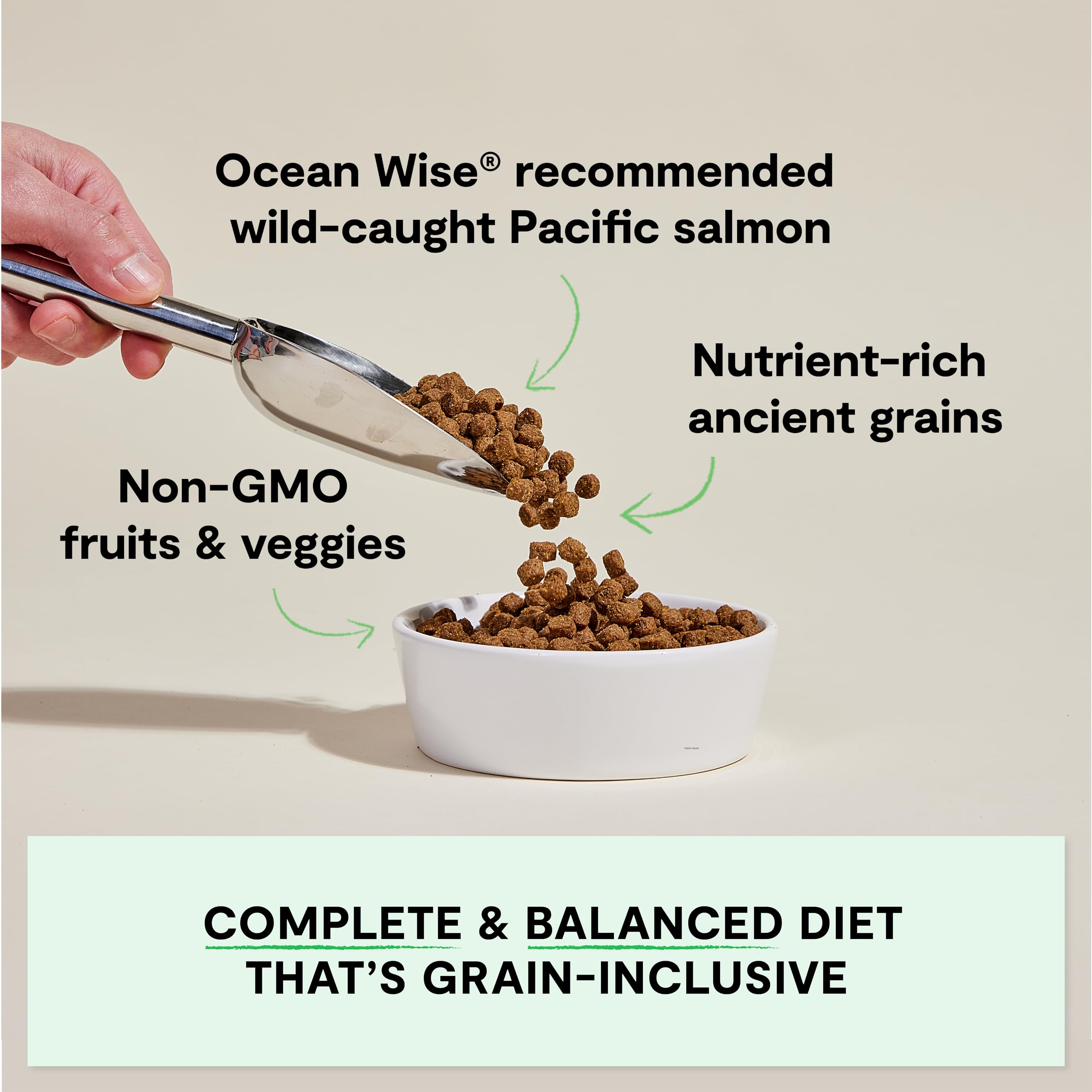 Open Farm, Ancient Grains Dry Dog Food, Protein-Rich & Nutrient Dense, 90% Animal Protein Mixed with Non-GMO Fruits, Veggies and Superfoods, Wild Caught Salmon Recipe, 22lb Bag