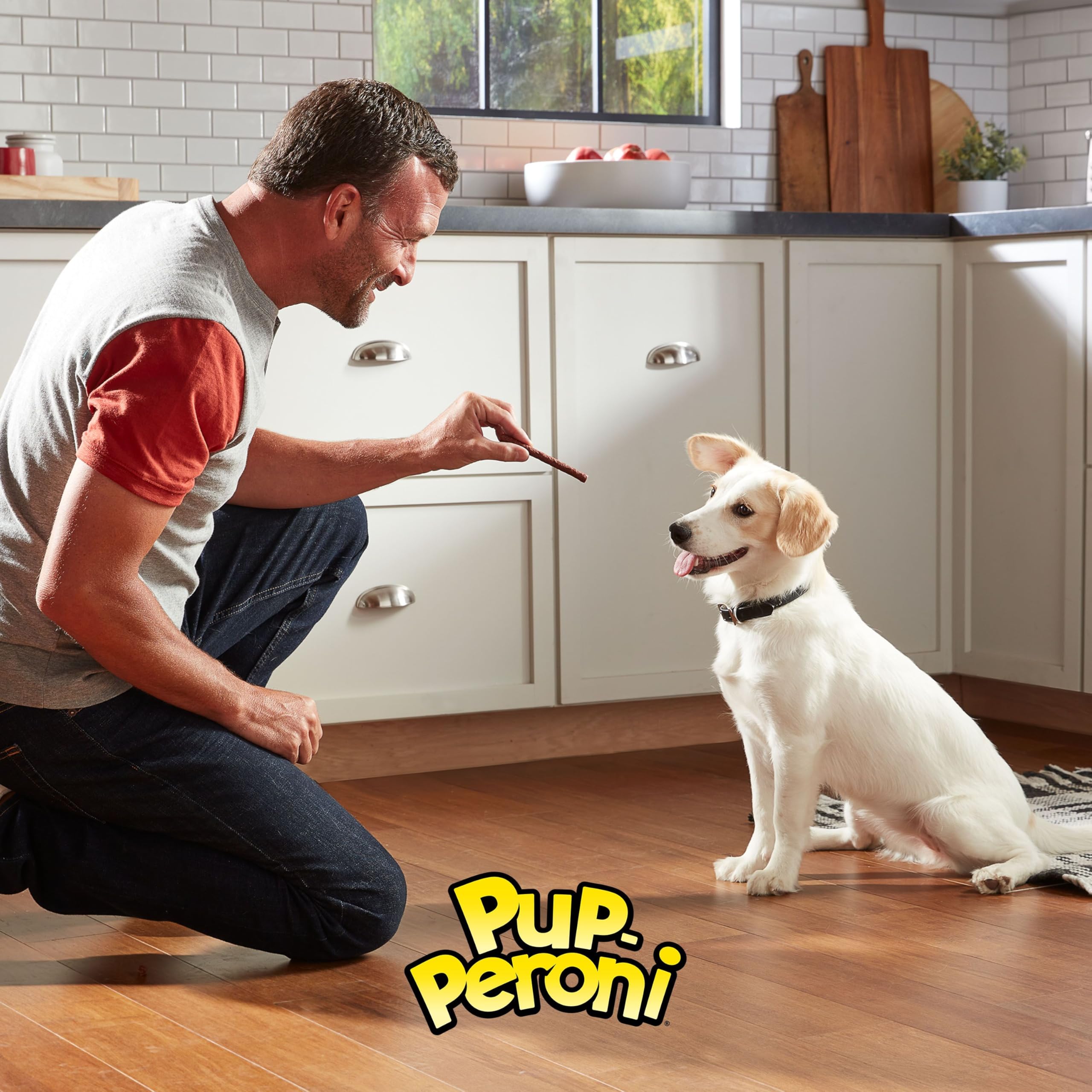 Pup-Peroni Lean Beef Flavor Dog Treats, 22.5 Oz. Bag