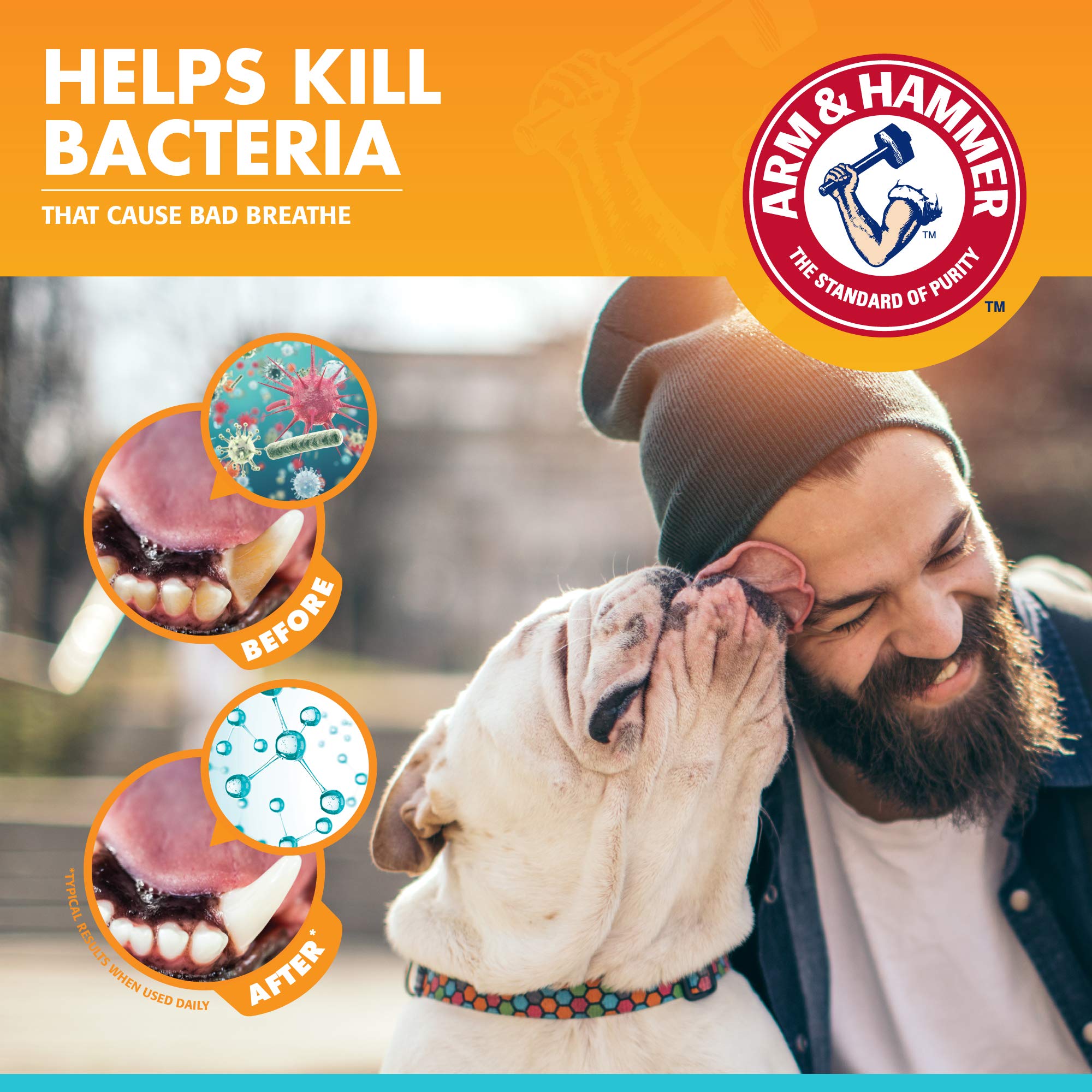 Arm & Hammer for Pets Fresh Breath Enzymatic Dog Toothpaste, Vanilla Ginger Flavor, Safe for Puppies and Adult Dogs, Daily Baking Soda Dental Gel to Eliminate Bad Breath, 2.5 Oz