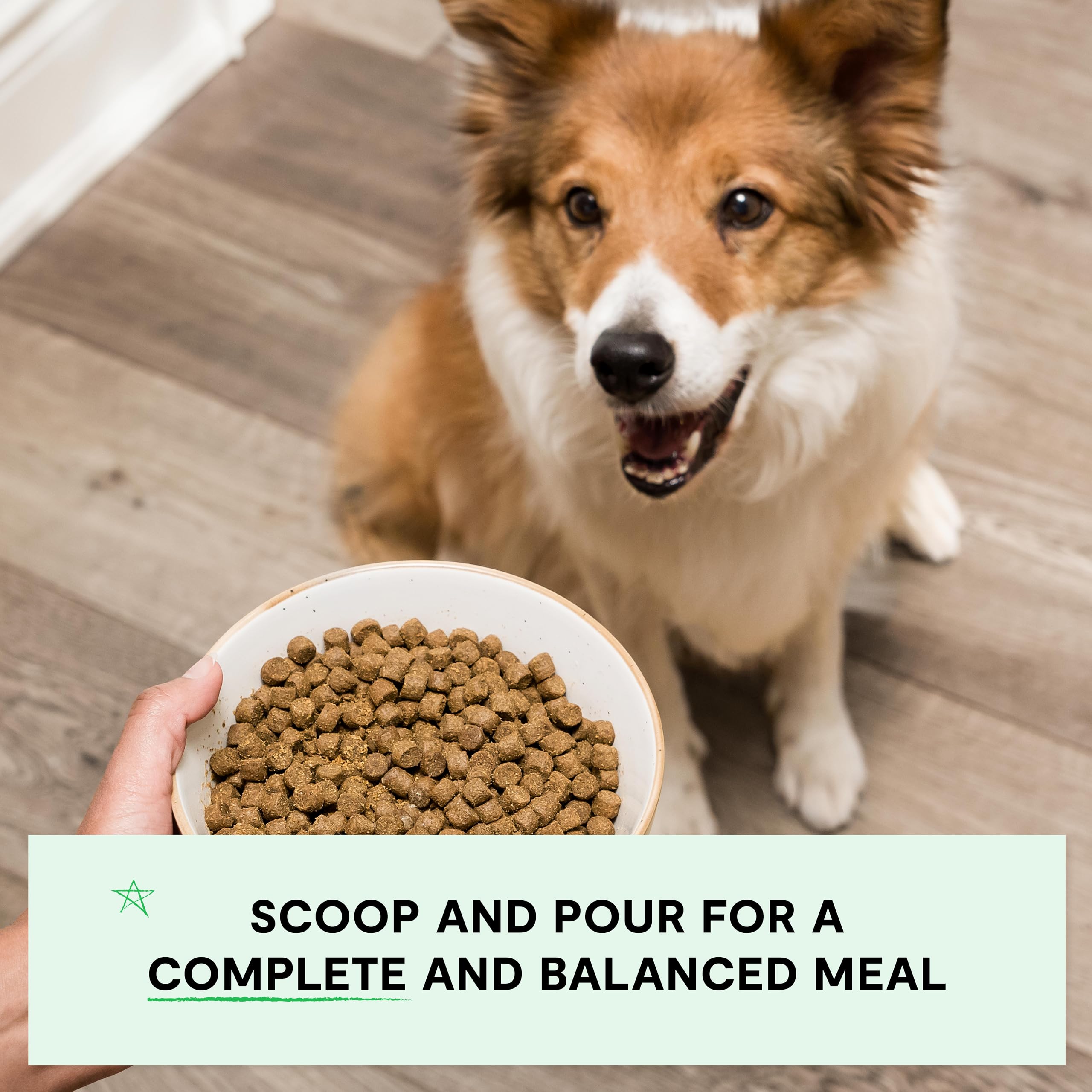 Open Farm, Grain-Free Dry Dog Food, Complete & Balanced Kibble, Sustainably & Ethically Sourced Ingredients, Non-GMO Veggies & Superfoods to Support Overall Health, Grass-Fed Beef Recipe, 22lb Bag