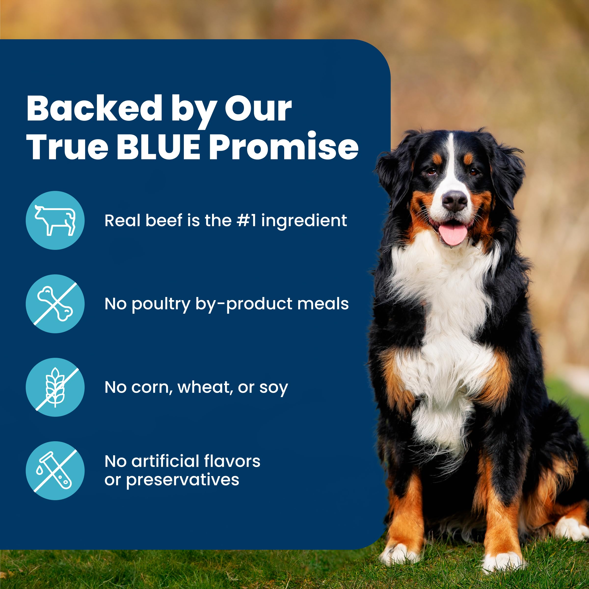 Blue Buffalo Life Protection Formula Beef & Brown Rice Adult Dry Dog Food, Supports Immunity with Antioxidant-Rich LifeSource Bits, Promotes Healthy Muscle Development, Skin & Coat Health, 5 lbs.