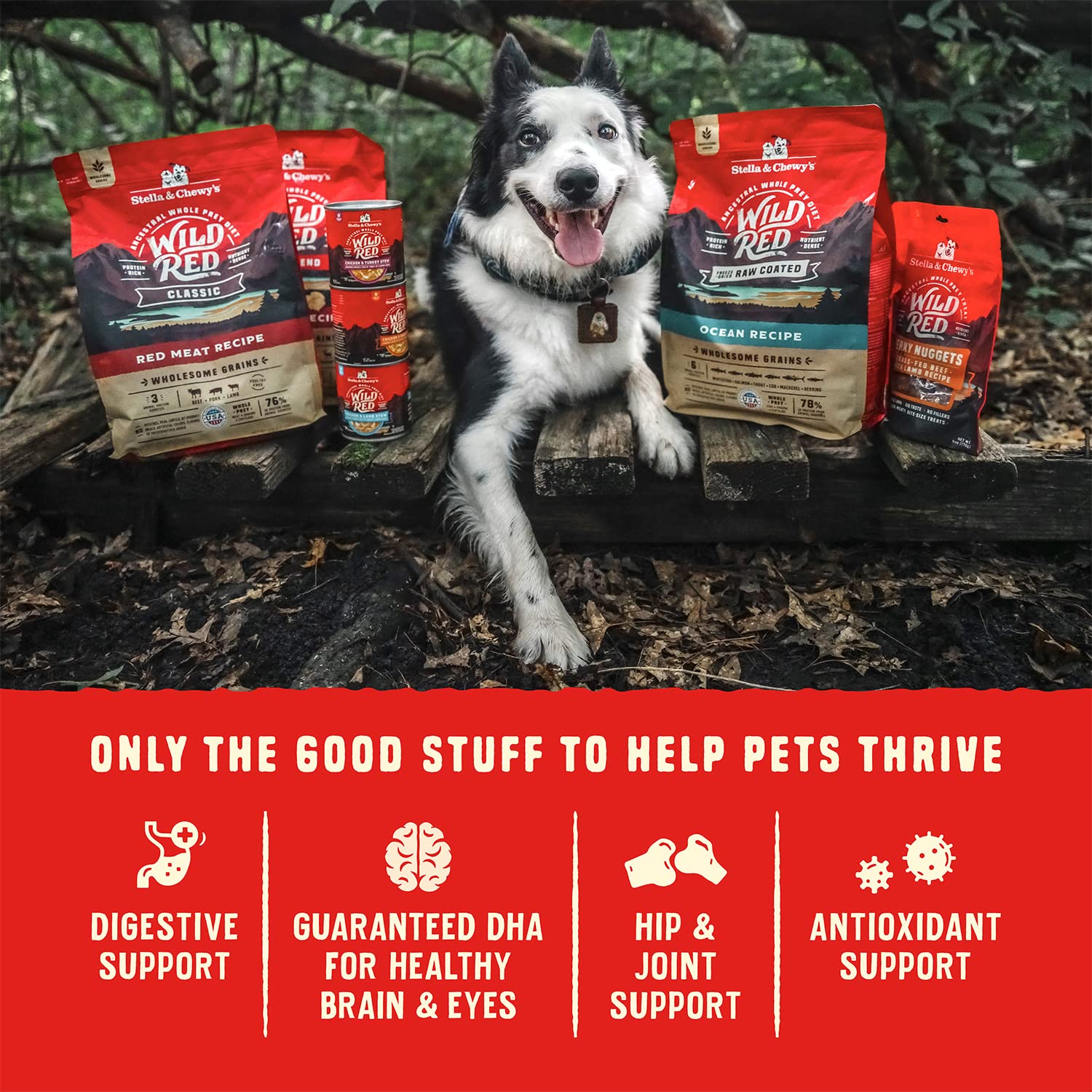 Stella & Chewy's Wild Red Dry Dog Food Raw Coated High Protein Grain & Legume Free Ocean Recipe, 3.5 lb. Bag