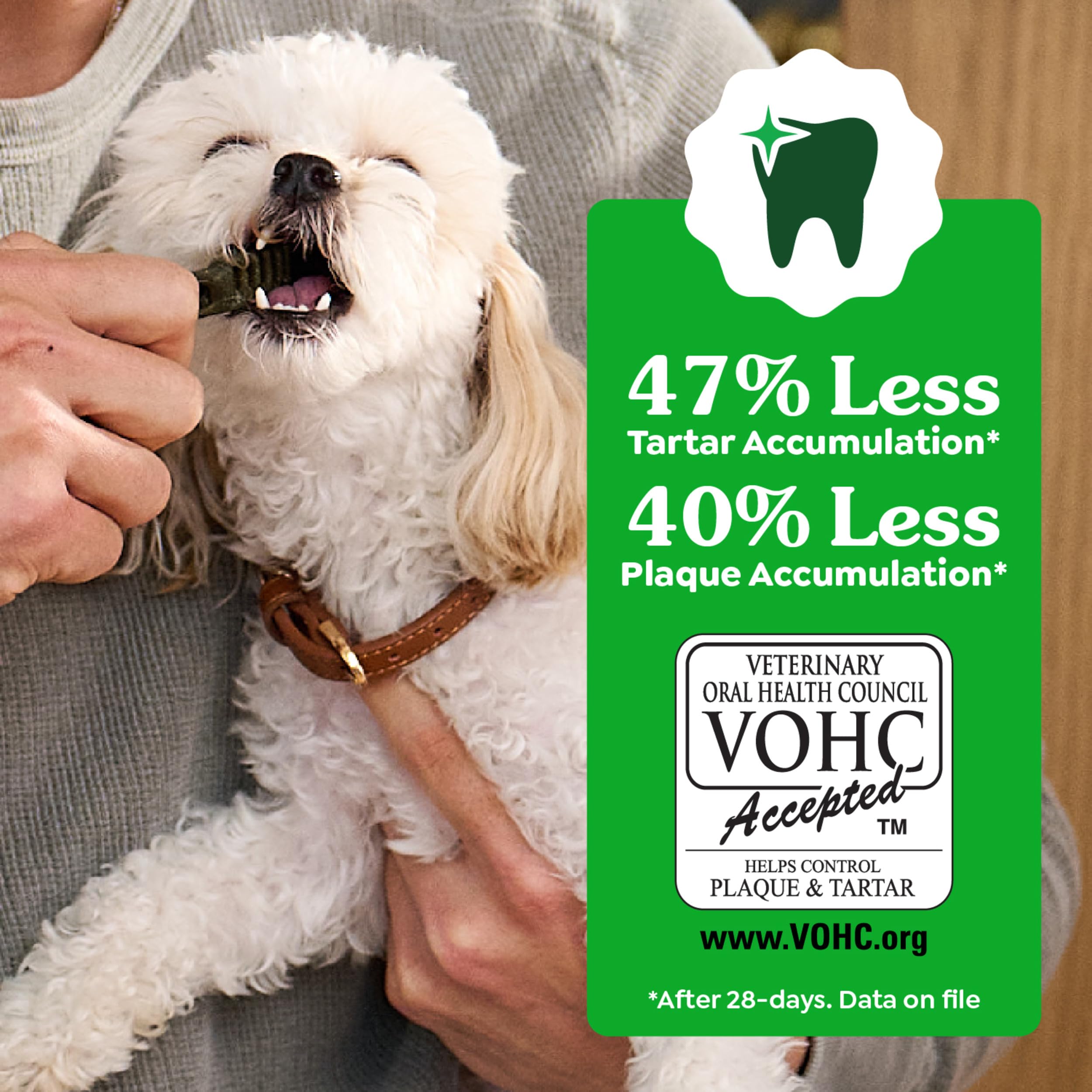Greenies Veterinarian-Recommended Adult Natural Dental Dog Treats Petite Size, Original Flavor, 18 oz. Pack, 30 Count