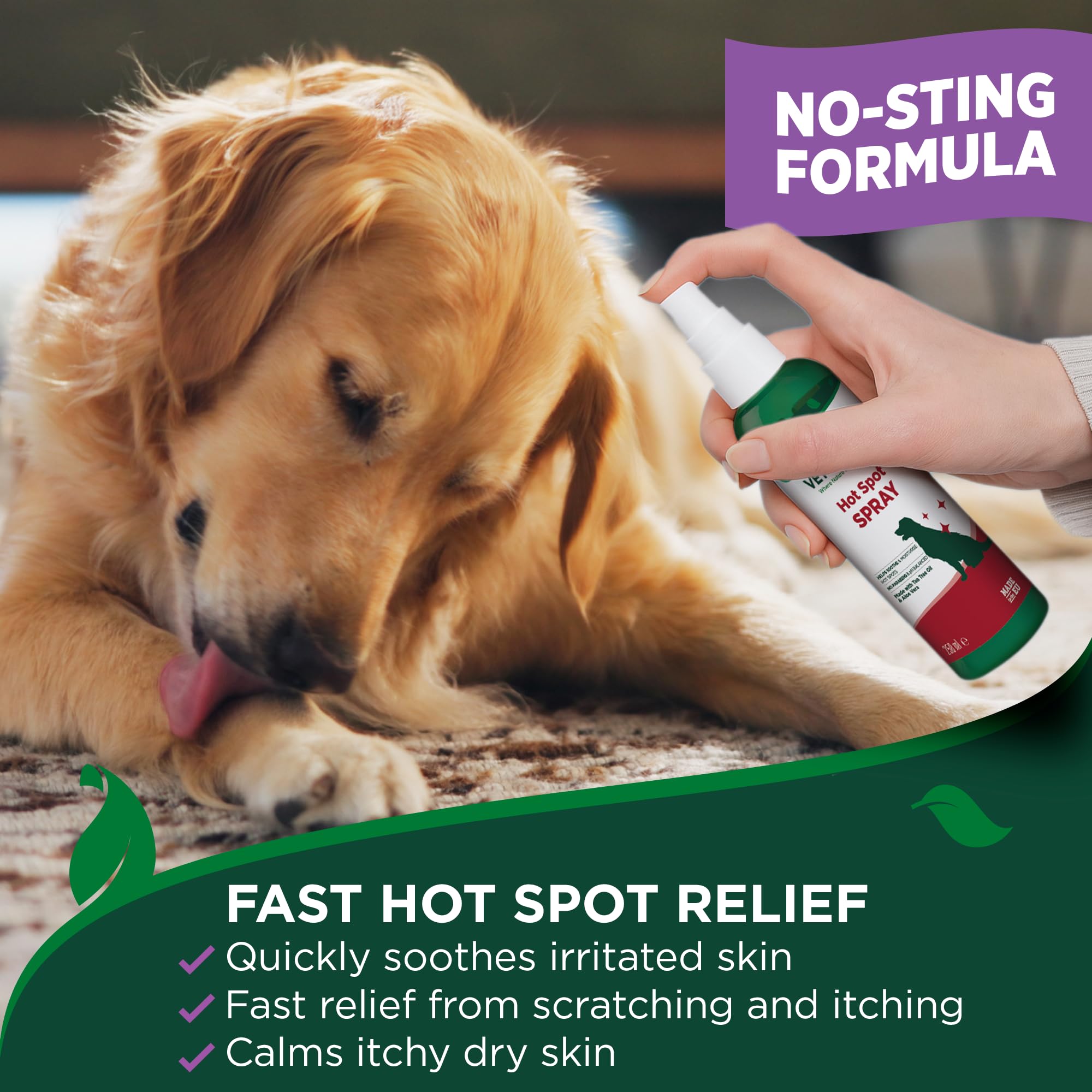 Vet's Best Vet’s Best Dog Hot Spot Itch Relief Spray | Relieves Dog Dry Skin, Rash, Scratching, Licking, Itchy Skin, and Hot Spots | No-Sting and Alcohol Free | 8 Ounces