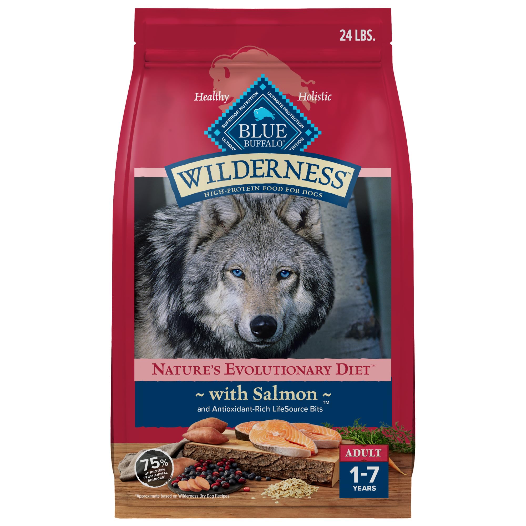 Blue Buffalo Wilderness Natural High-Protein Dry Food for Adult Dogs, with Wholesome Grains, Salmon, 24-lb. Bag
