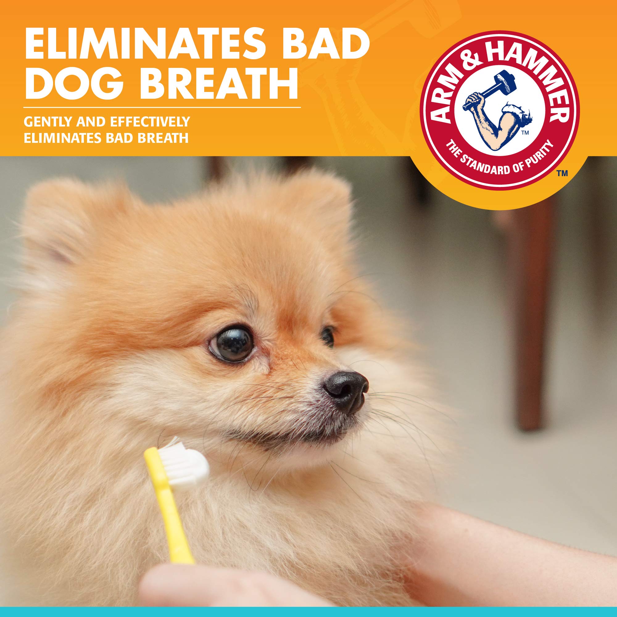 Arm & Hammer for Pets Fresh Breath Enzymatic Dog Toothpaste, Vanilla Ginger Flavor, Safe for Puppies and Adult Dogs, Daily Baking Soda Dental Gel to Eliminate Bad Breath, 2.5 Oz