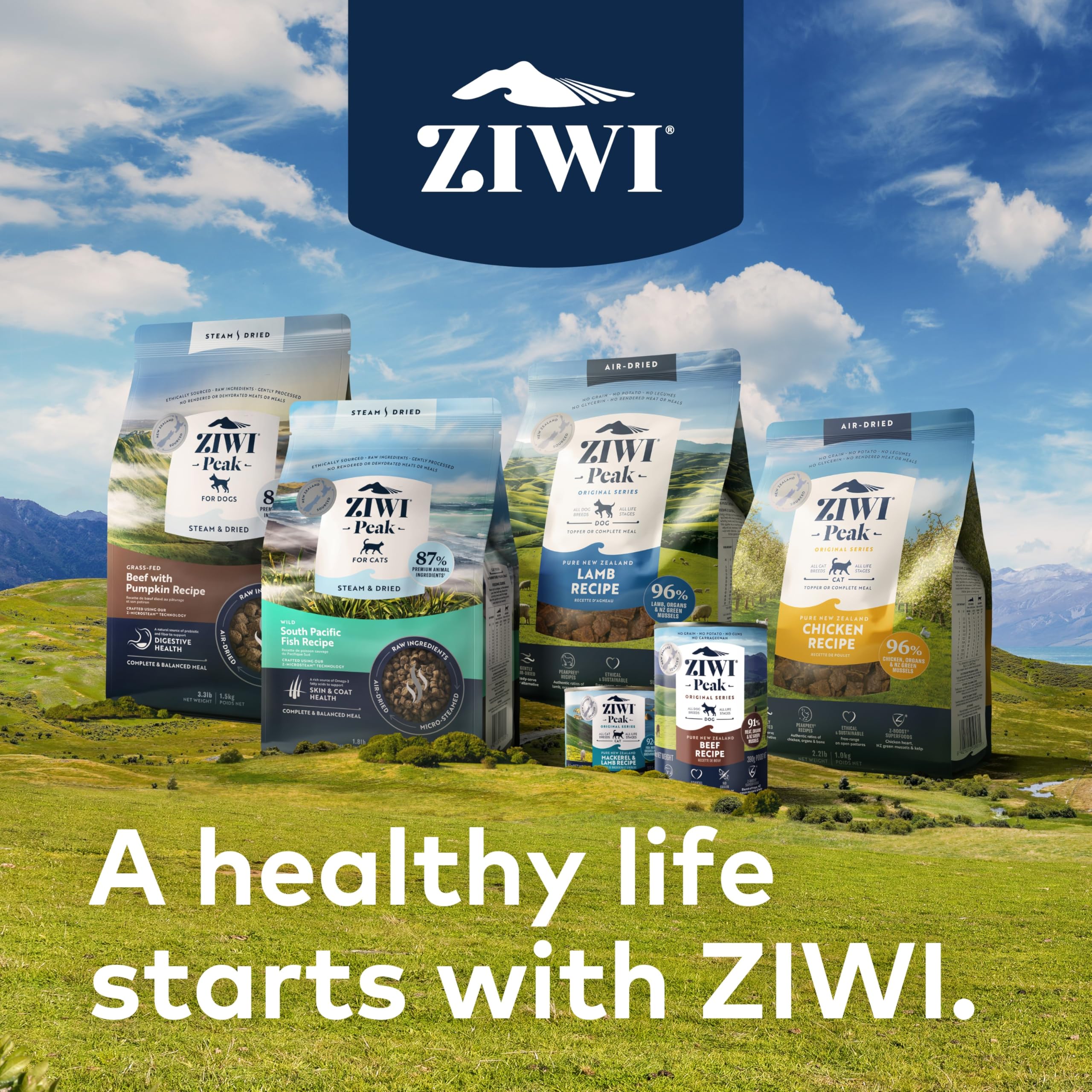 ZIWI Peak Canned Wet Dog Food – All Natural, High Protein, Grain Free, Limited Ingredient, with Superfoods (Mackerel & Lamb, Case of 12, 6oz Cans)